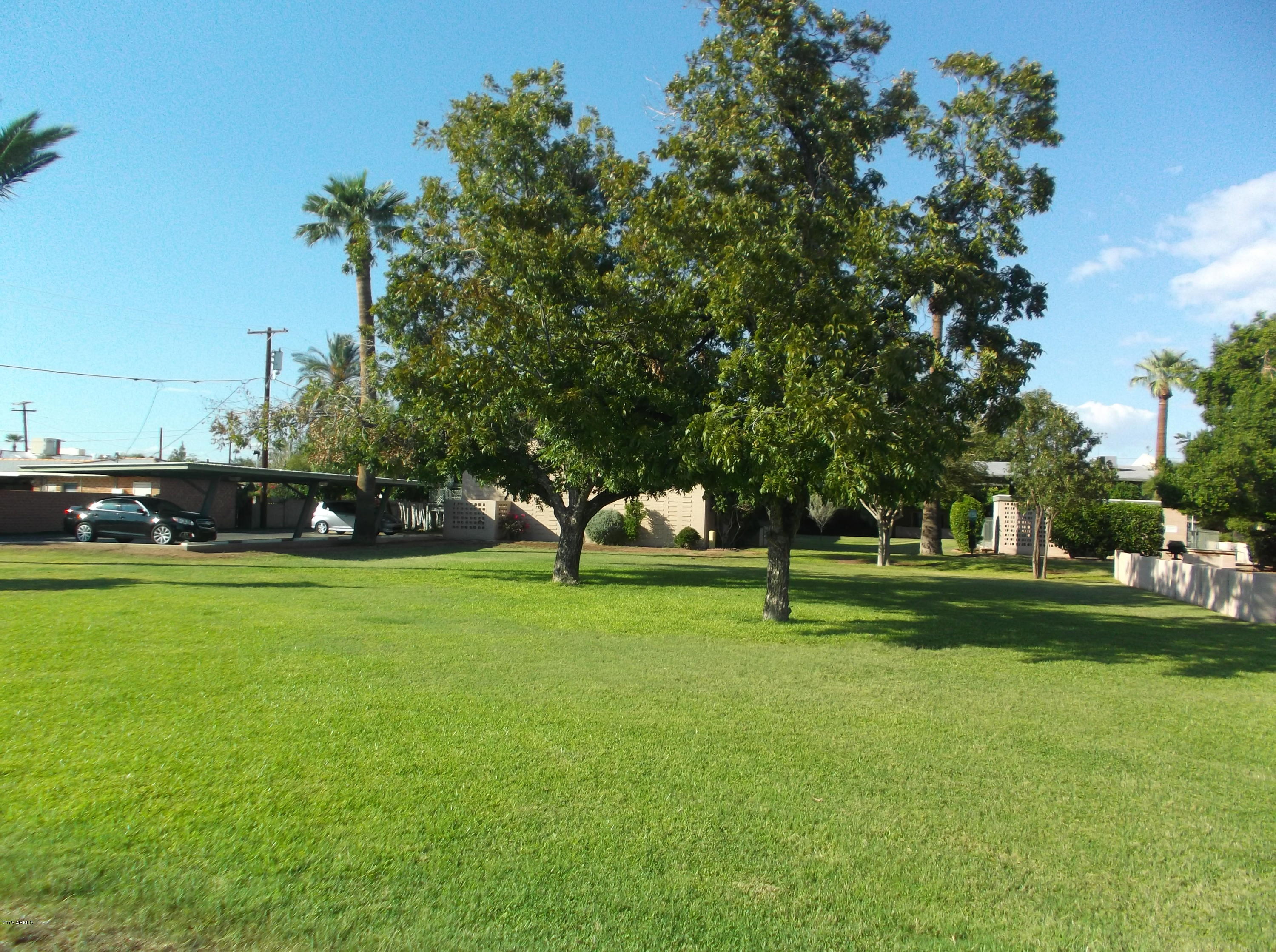 1107 West Osborn Road, Unit 217 Phoenix, AZ 85013 - Photo 21 of 25 Grass4