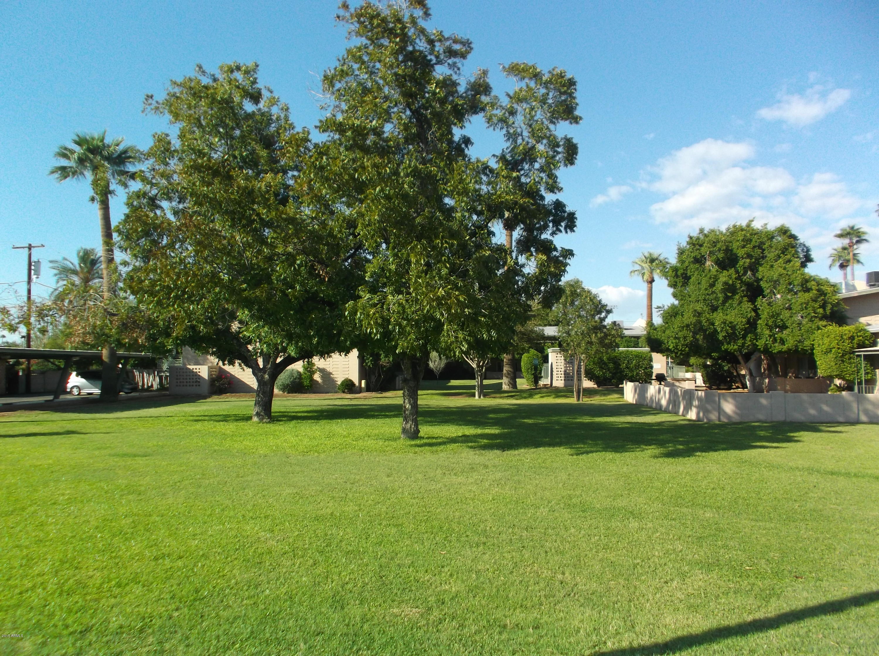 1107 West Osborn Road, Unit 217 Phoenix, AZ 85013 - Photo 22 of 25 Grass5