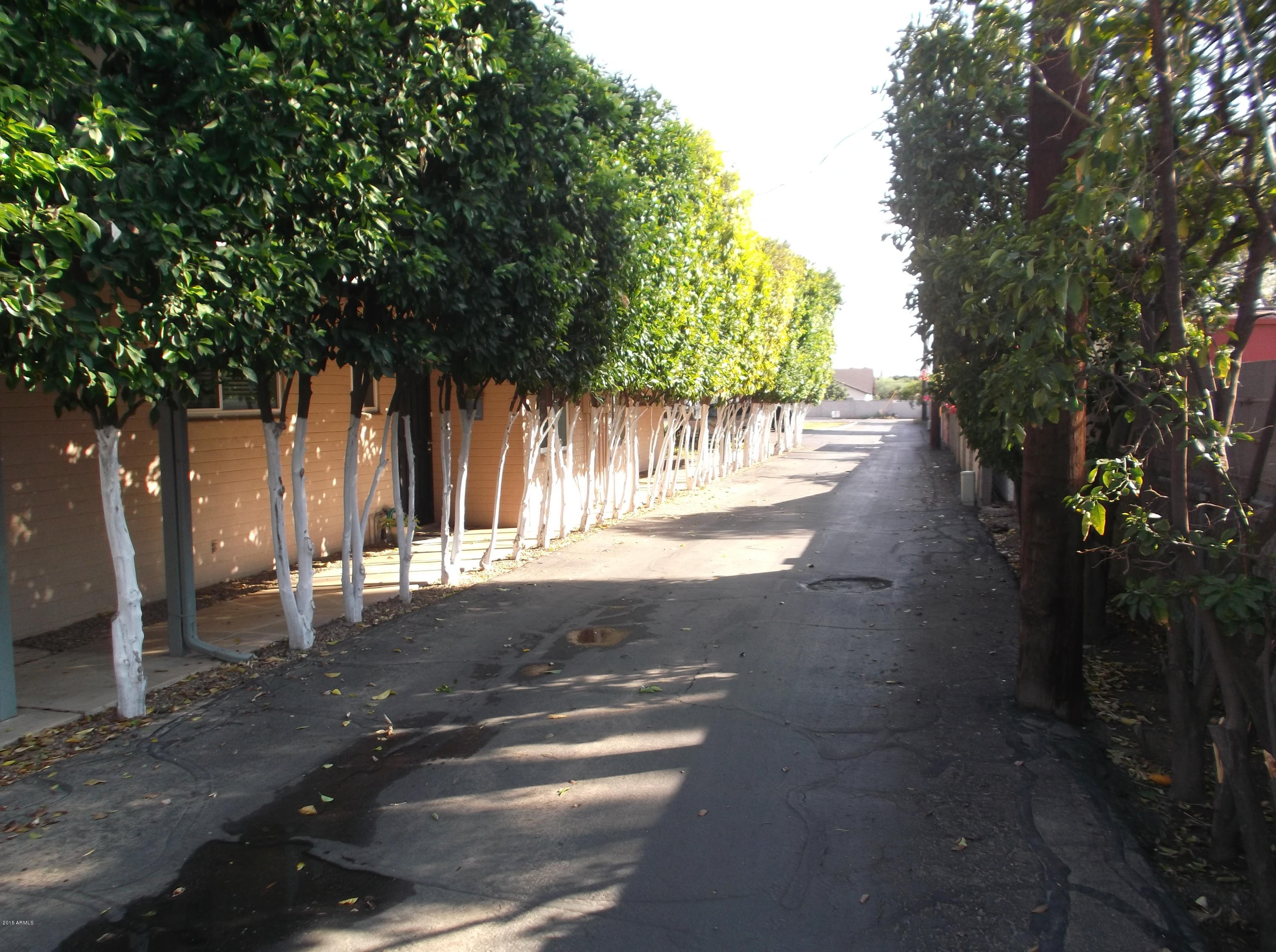 1107 West Osborn Road, Unit 217 Phoenix, AZ 85013 - Photo 25 of 25 Line of trees