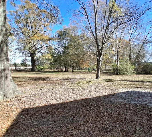 a view of dirt yard with a large tree