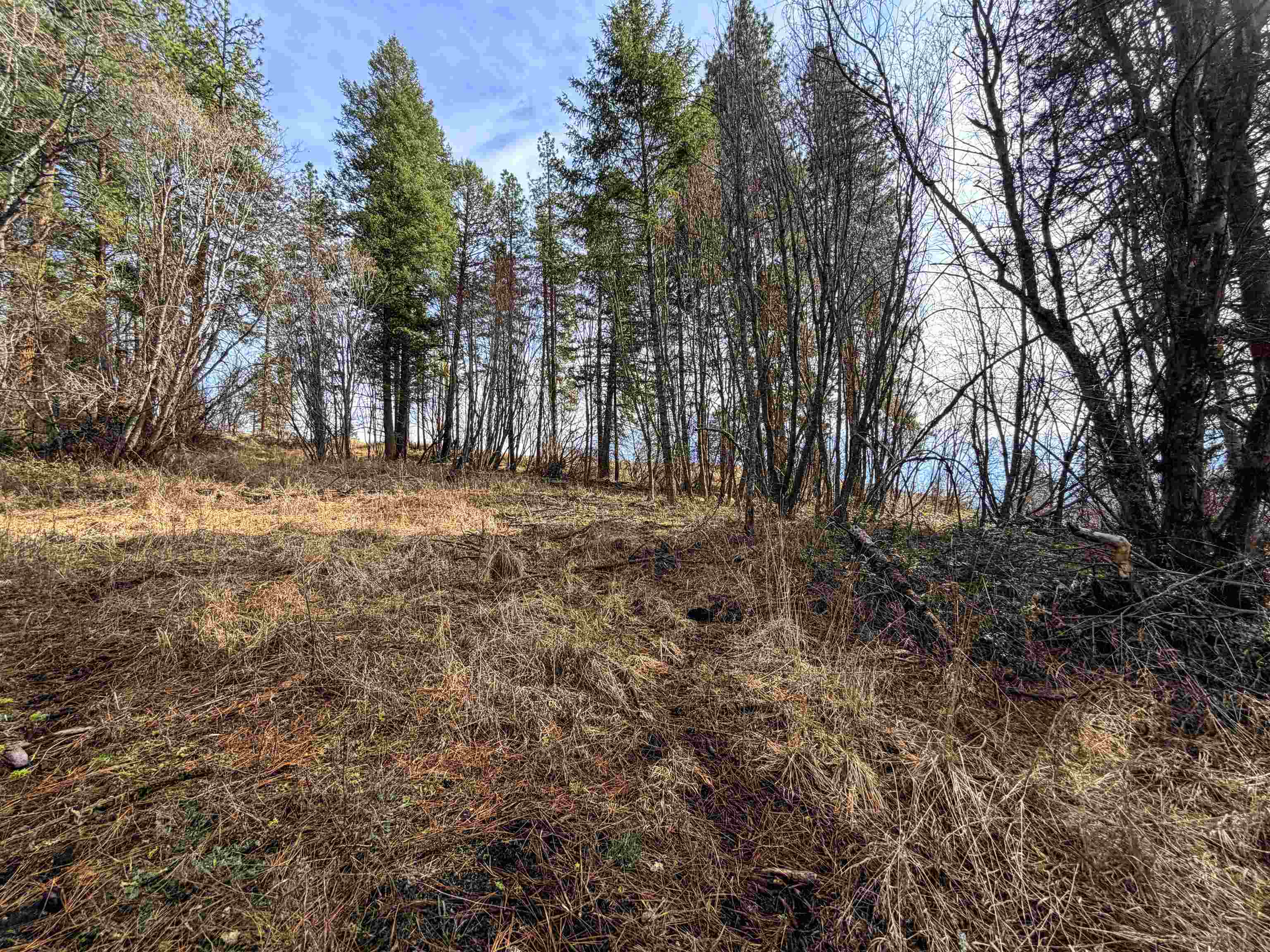 2897 McNitt Road Kettle Falls, WA 99141 - Photo 40 of 47