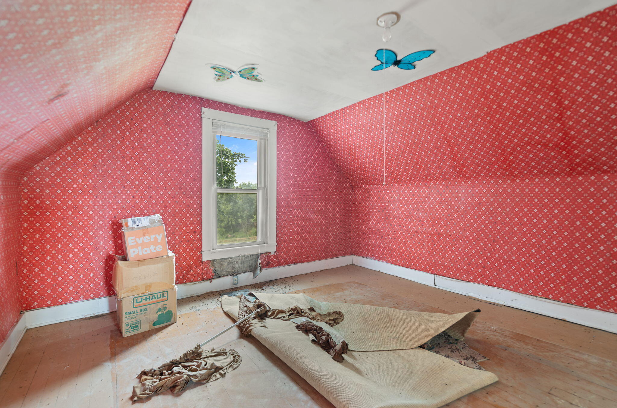 2359 Cane Run Road Carlisle, KY 40311 - Photo 72 of 75 31-web-or-mls-118A4799