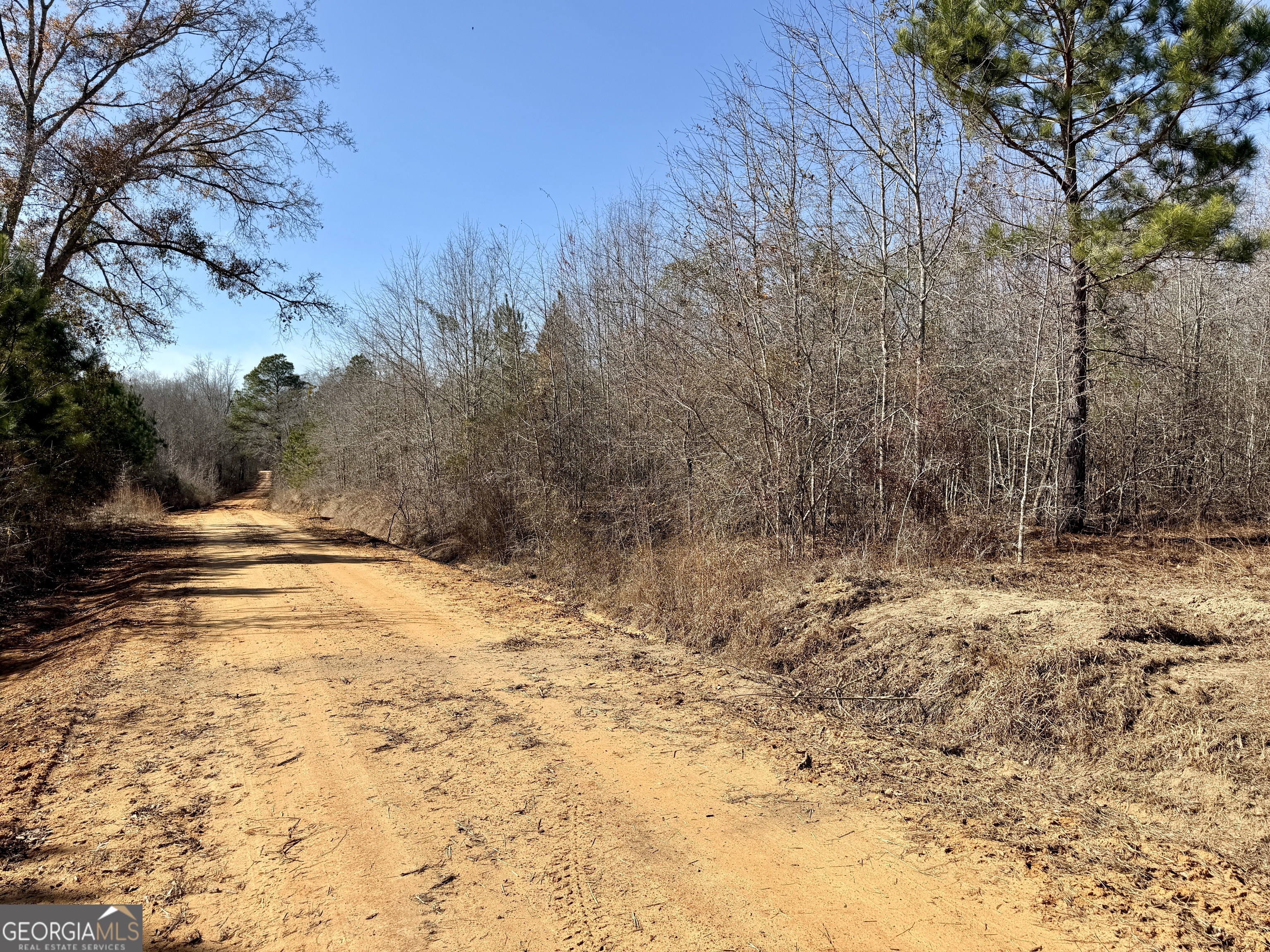 0 SOUTH Shady Grove Road Abbeville, GA 31001 - Photo 12 of 27 a view of empty space and yard