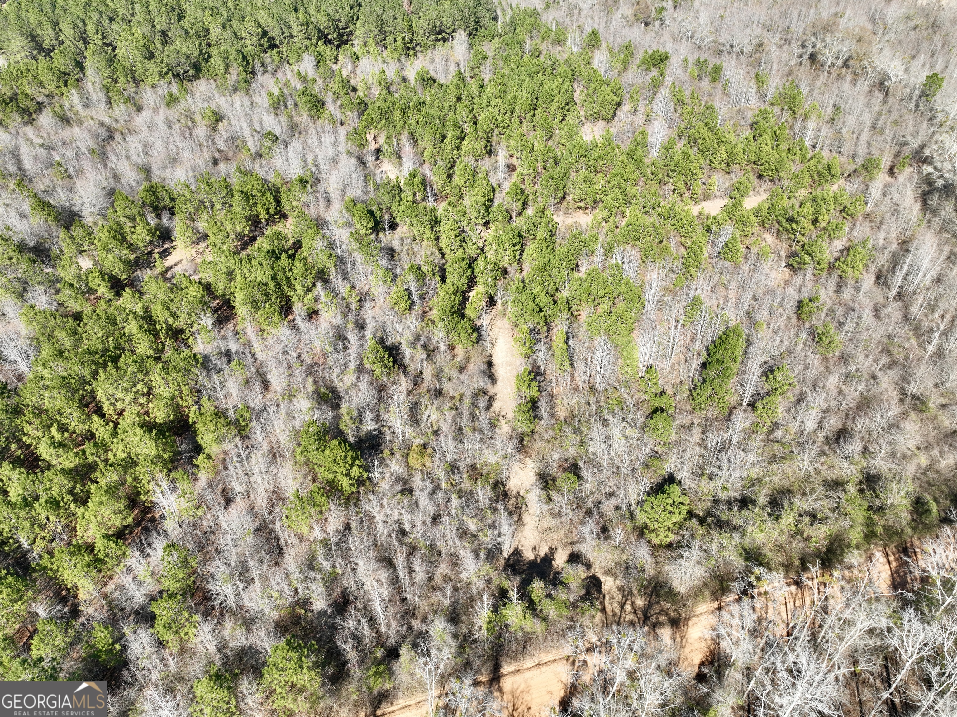 0 SOUTH Shady Grove Road Abbeville, GA 31001 - Photo 13 of 27 a backyard of a house with a tree