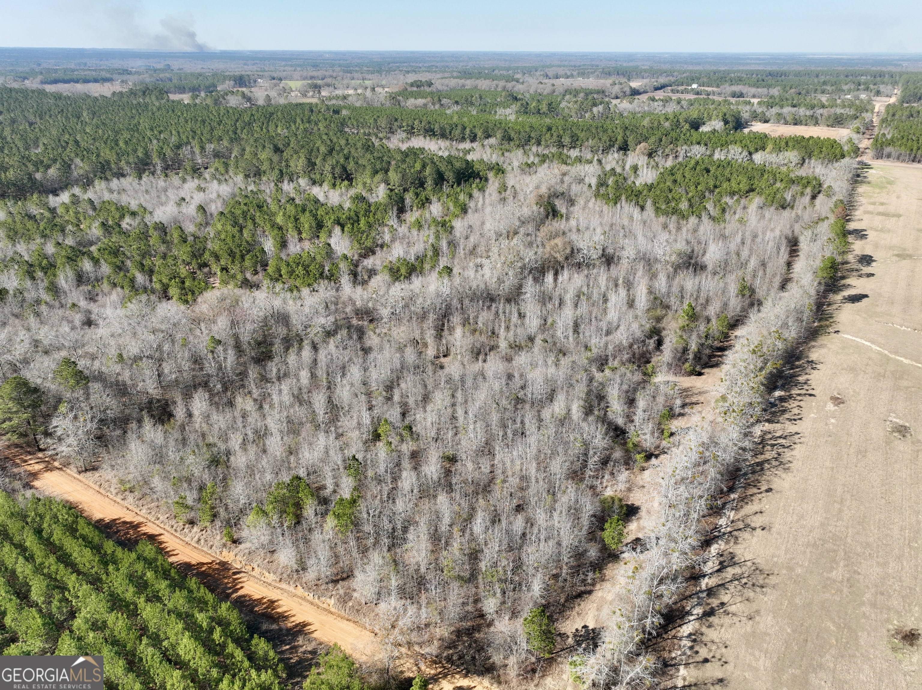 0 SOUTH Shady Grove Road Abbeville, GA 31001 - Photo 14 of 27 a view of a forest with trees in the background