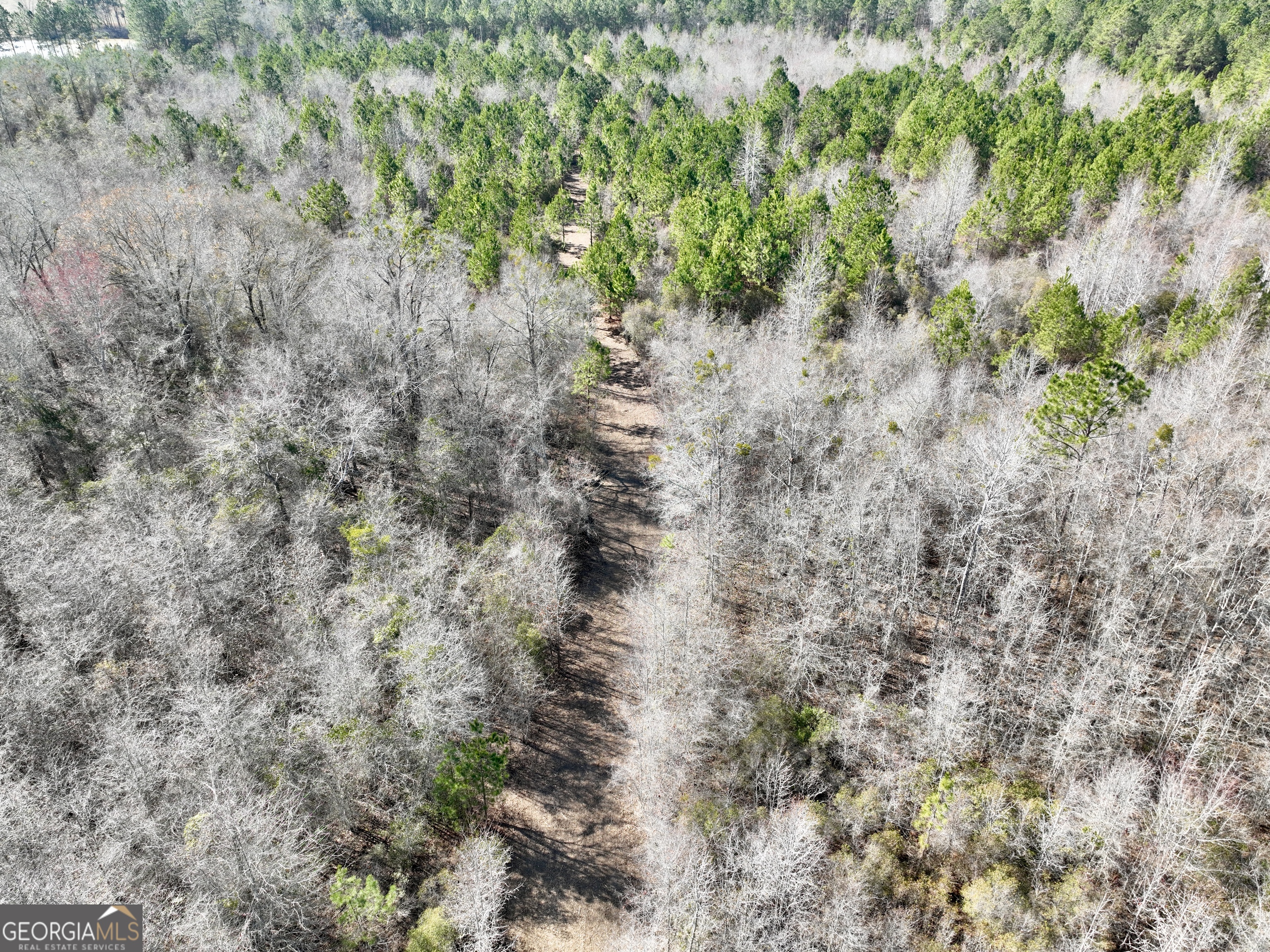 0 SOUTH Shady Grove Road Abbeville, GA 31001 - Photo 15 of 27 a view of a yard with a tree