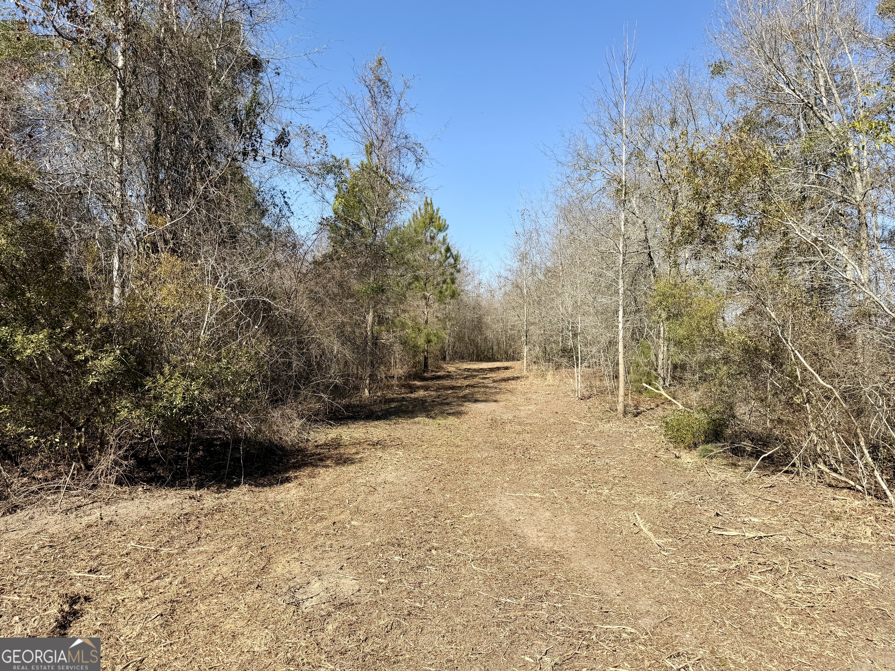 0 SOUTH Shady Grove Road Abbeville, GA 31001 - Photo 16 of 27 a view of yard covered with snow in outdoor space