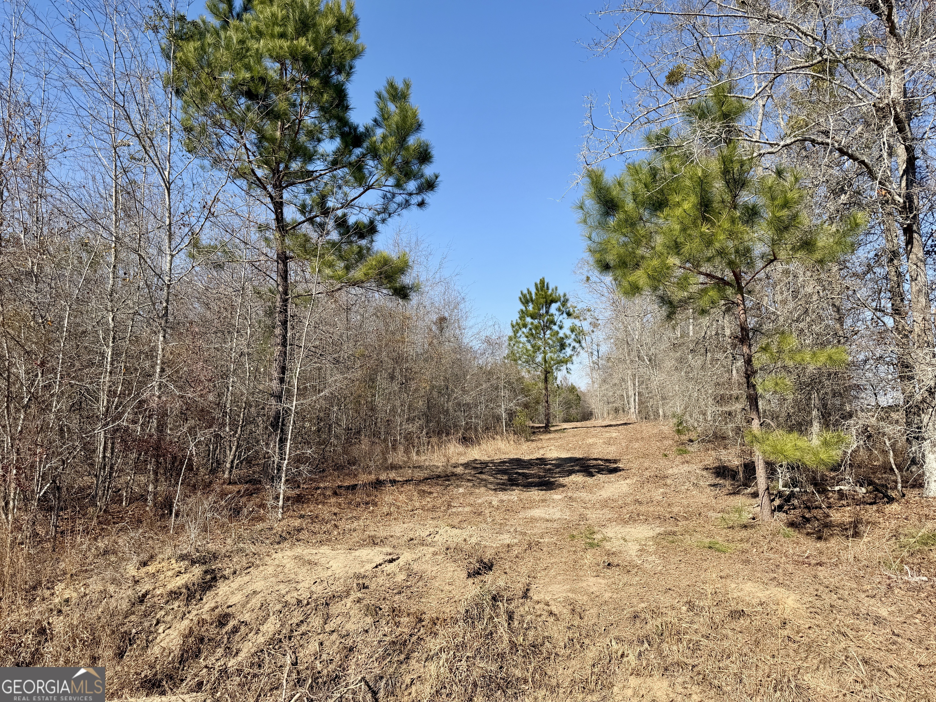0 SOUTH Shady Grove Road Abbeville, GA 31001 - Photo 17 of 27 a backyard of a house with lots of green space