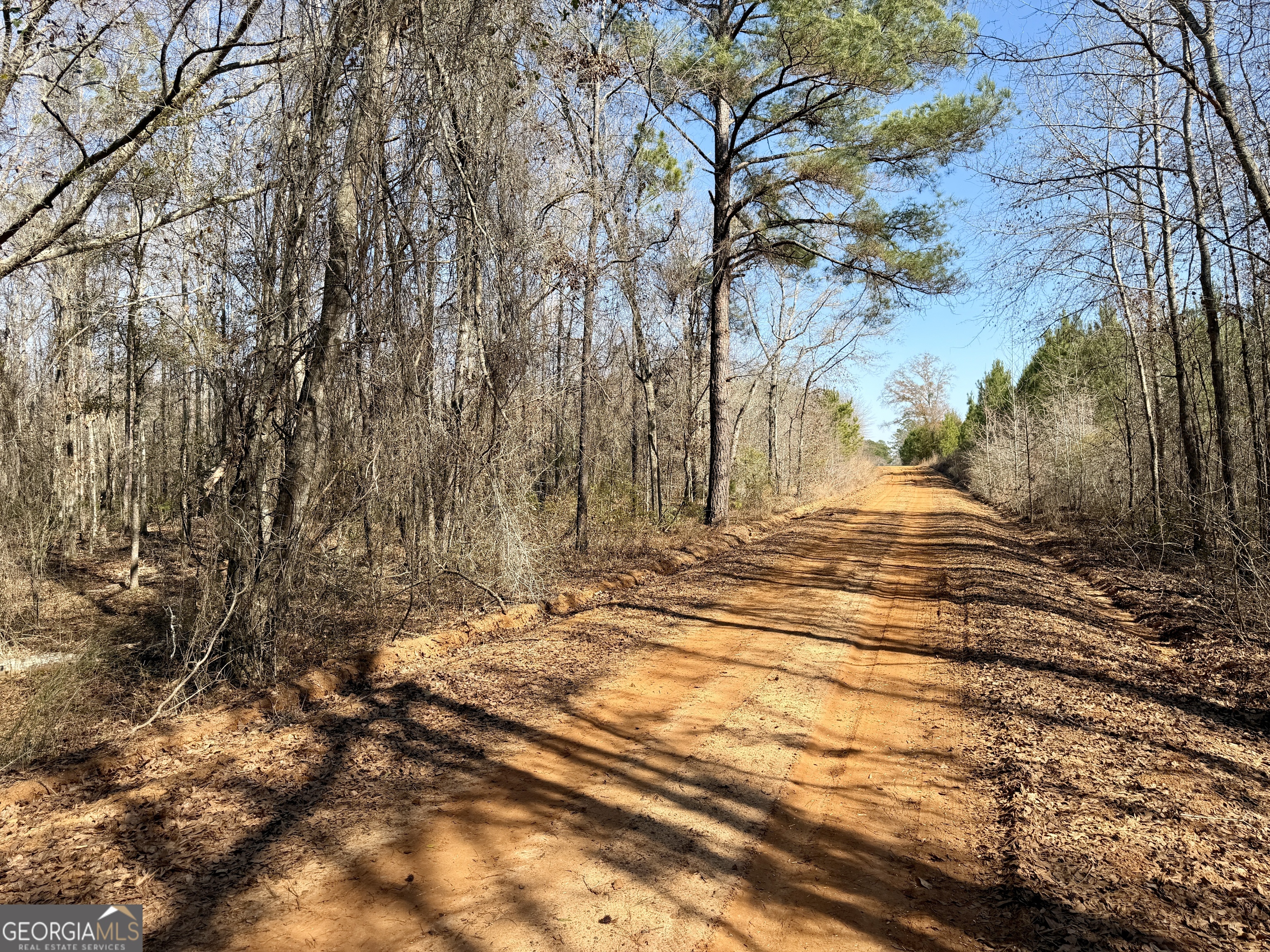 0 SOUTH Shady Grove Road Abbeville, GA 31001 - Photo 18 of 27 a view of yard and tree