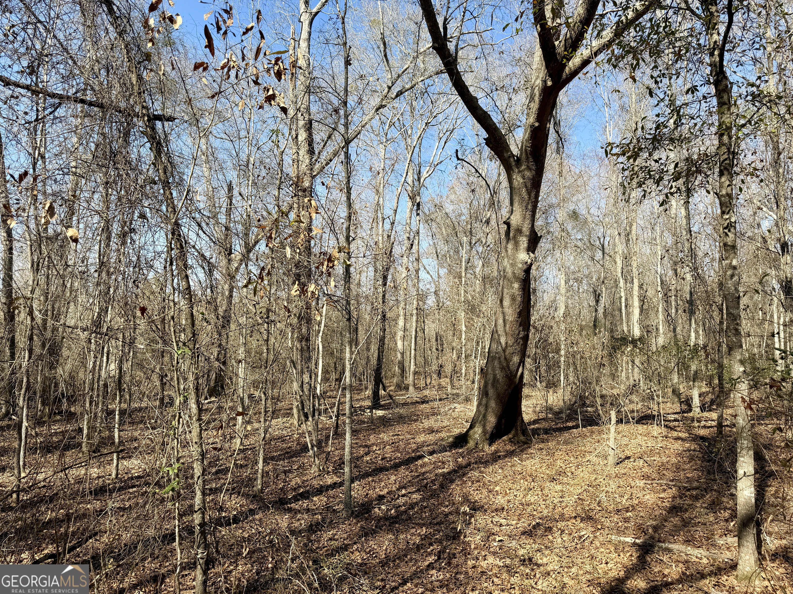 0 SOUTH Shady Grove Road Abbeville, GA 31001 - Photo 19 of 27 a view of covered with snow
