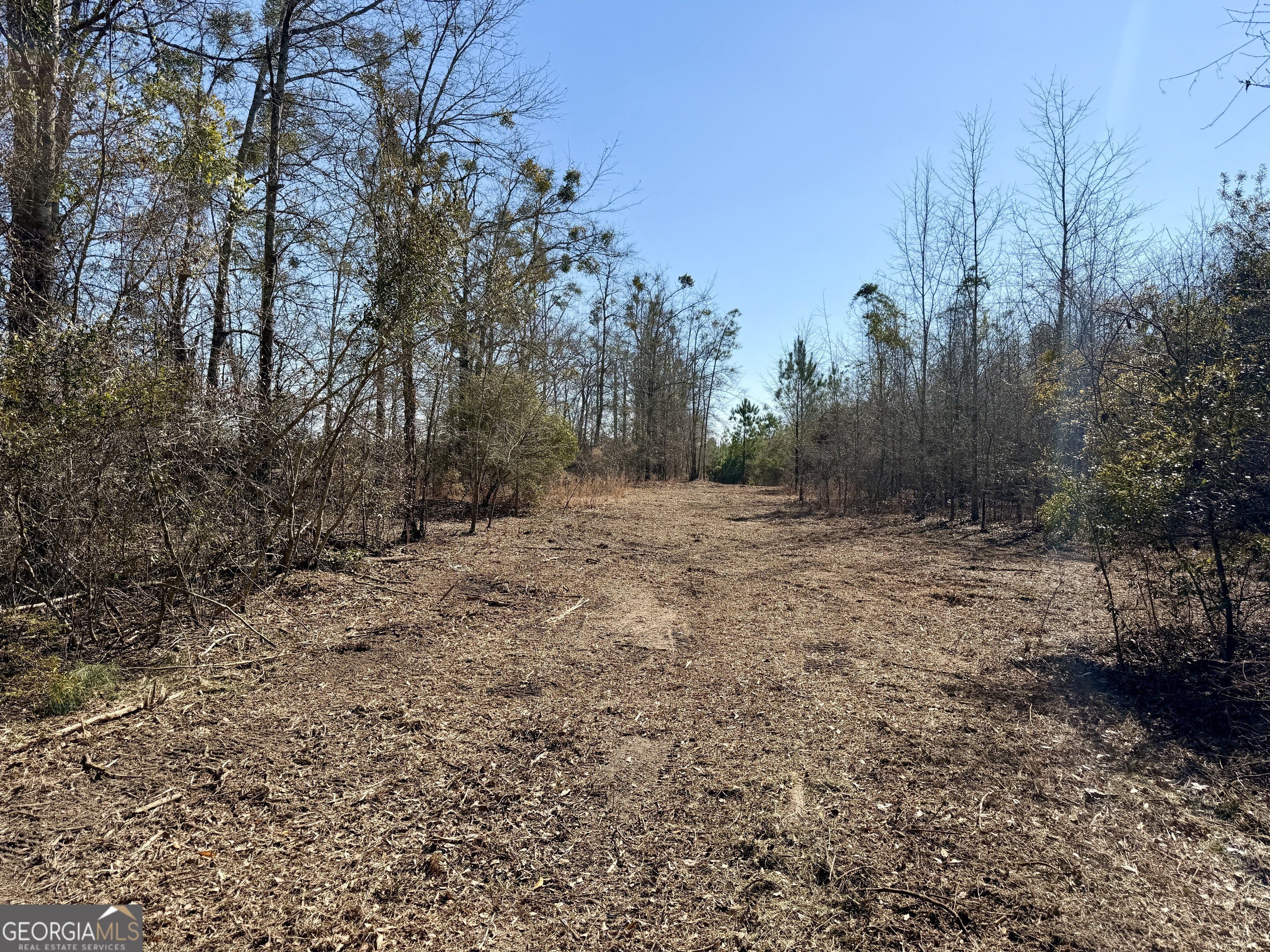 0 SOUTH Shady Grove Road Abbeville, GA 31001 - Photo 2 of 27 a view of dirt field with trees