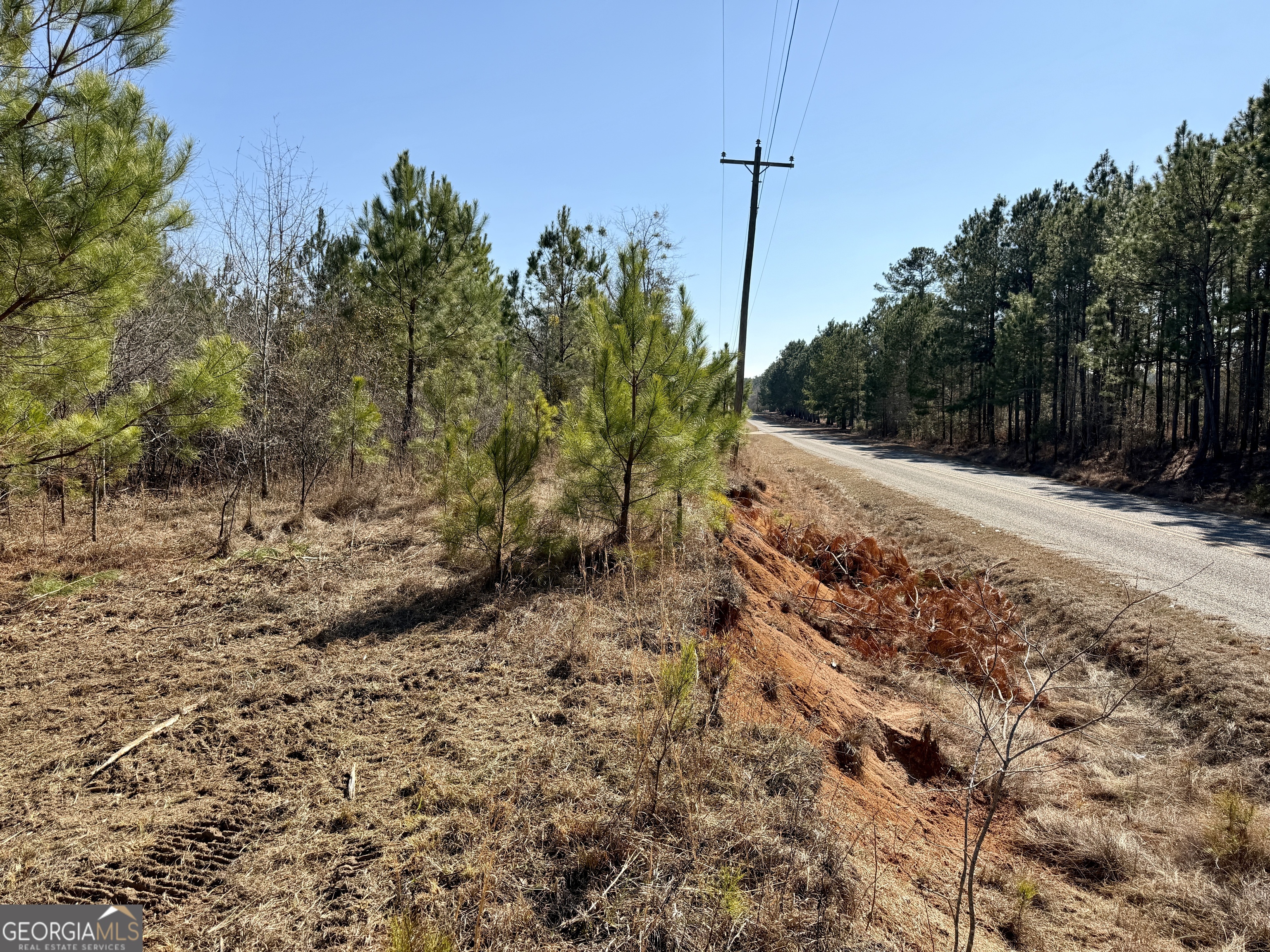 0 SOUTH Shady Grove Road Abbeville, GA 31001 - Photo 21 of 27 a view of a dry yard with trees