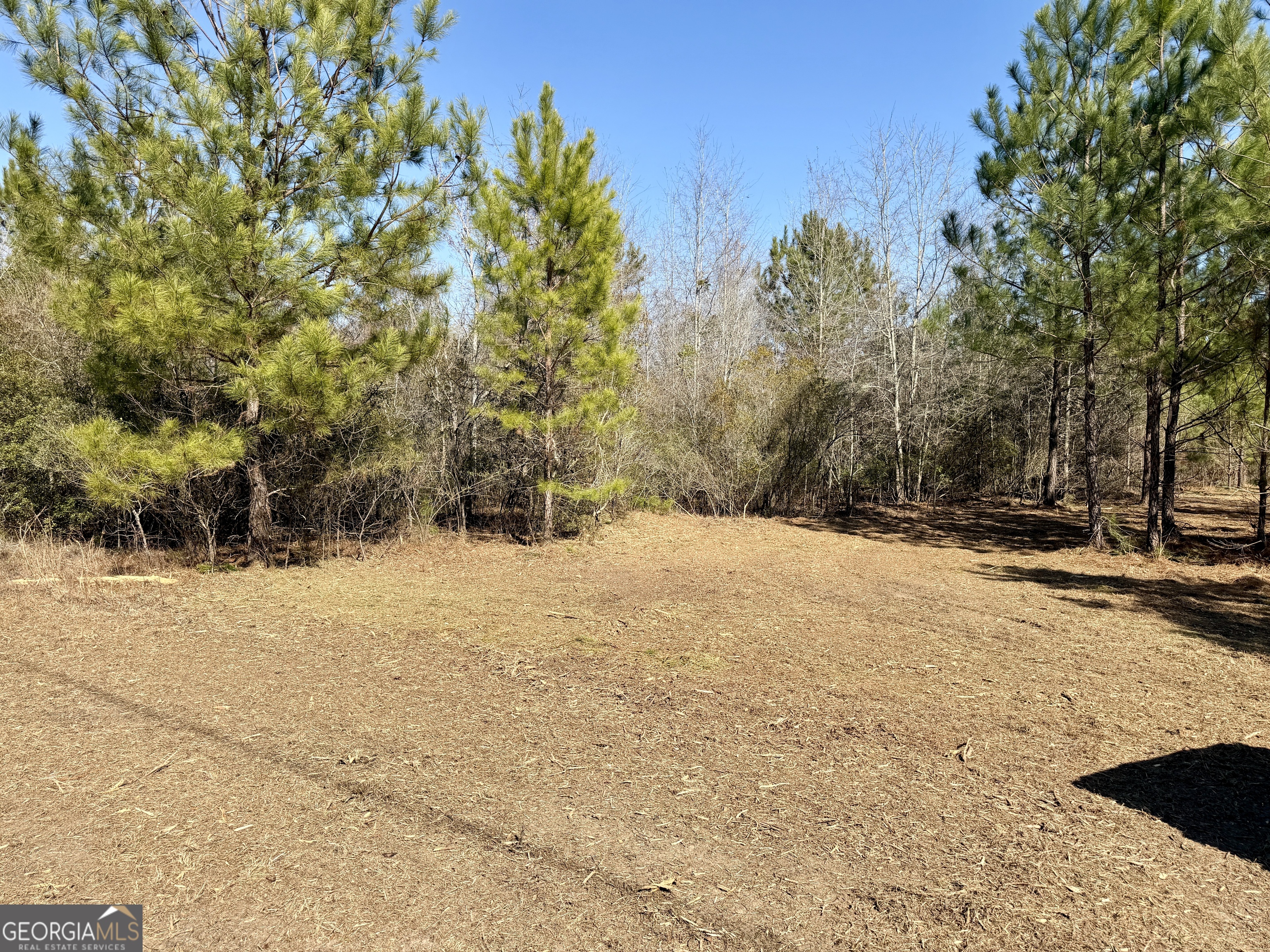 0 SOUTH Shady Grove Road Abbeville, GA 31001 - Photo 22 of 27 a view of outdoor space yard and trees