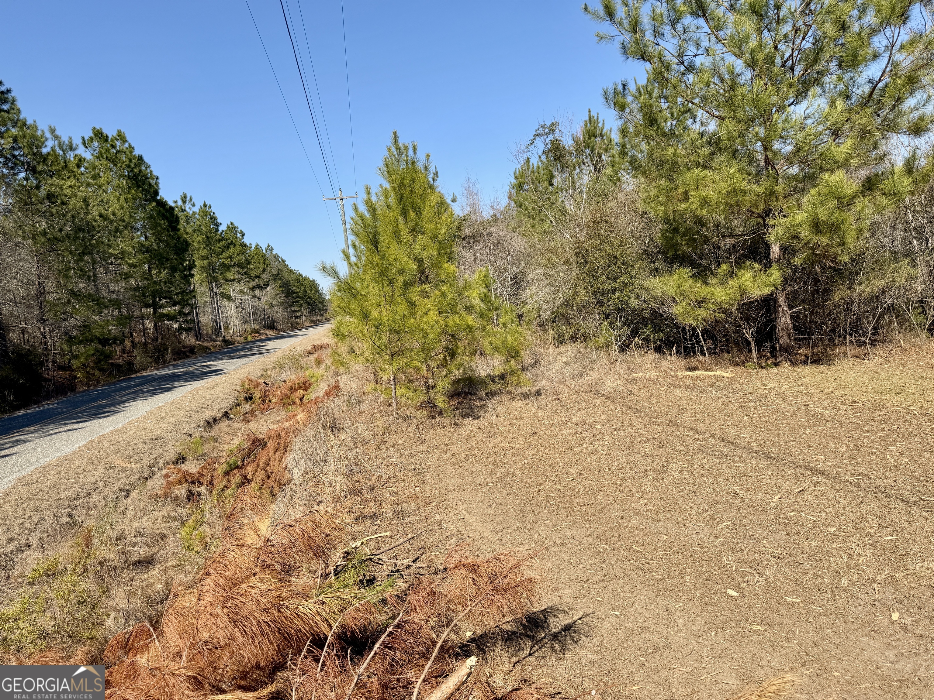 0 SOUTH Shady Grove Road Abbeville, GA 31001 - Photo 23 of 27 a view of yard covered with snow in front of house