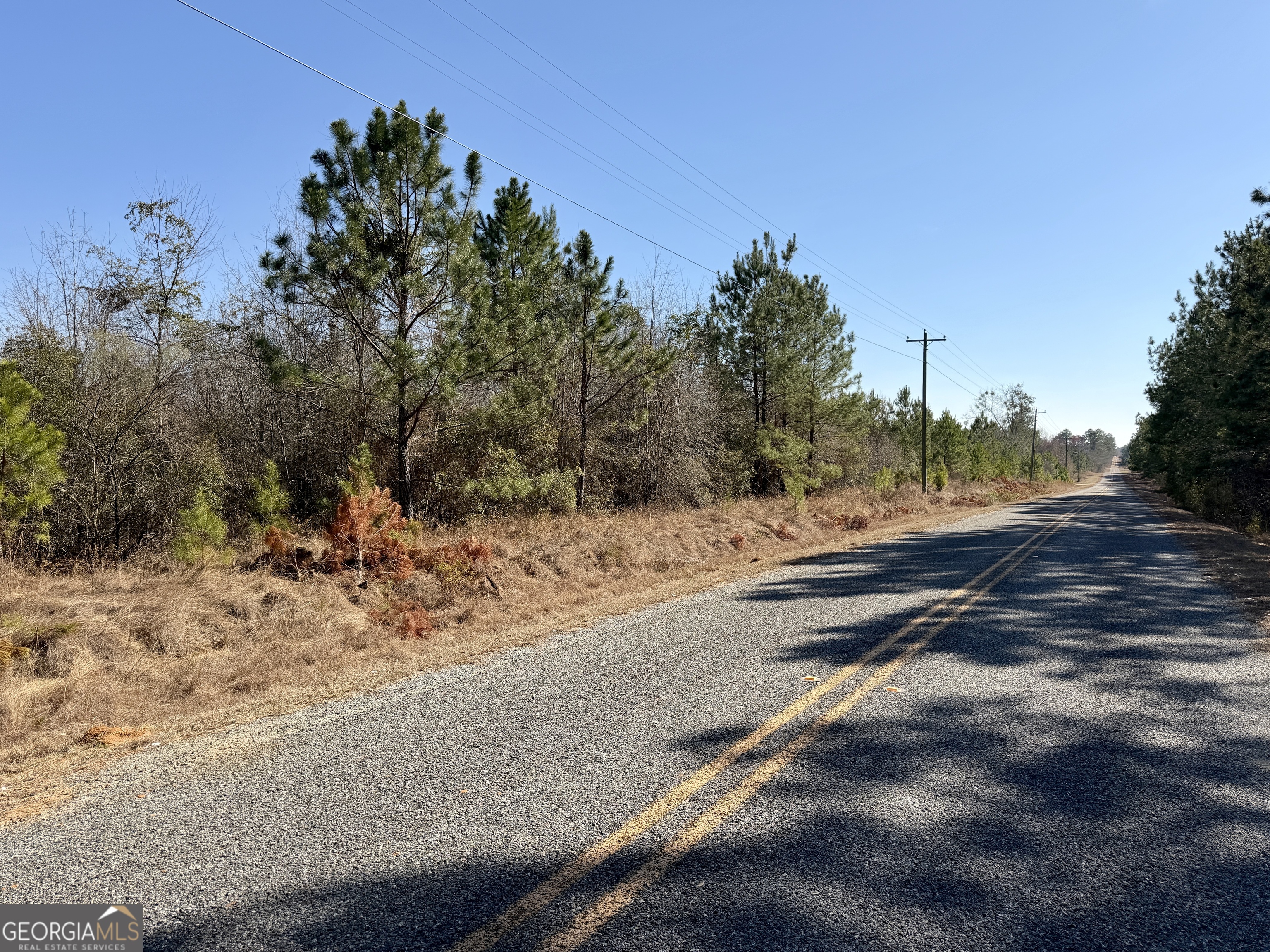 0 SOUTH Shady Grove Road Abbeville, GA 31001 - Photo 27 of 27 a view of road with yard