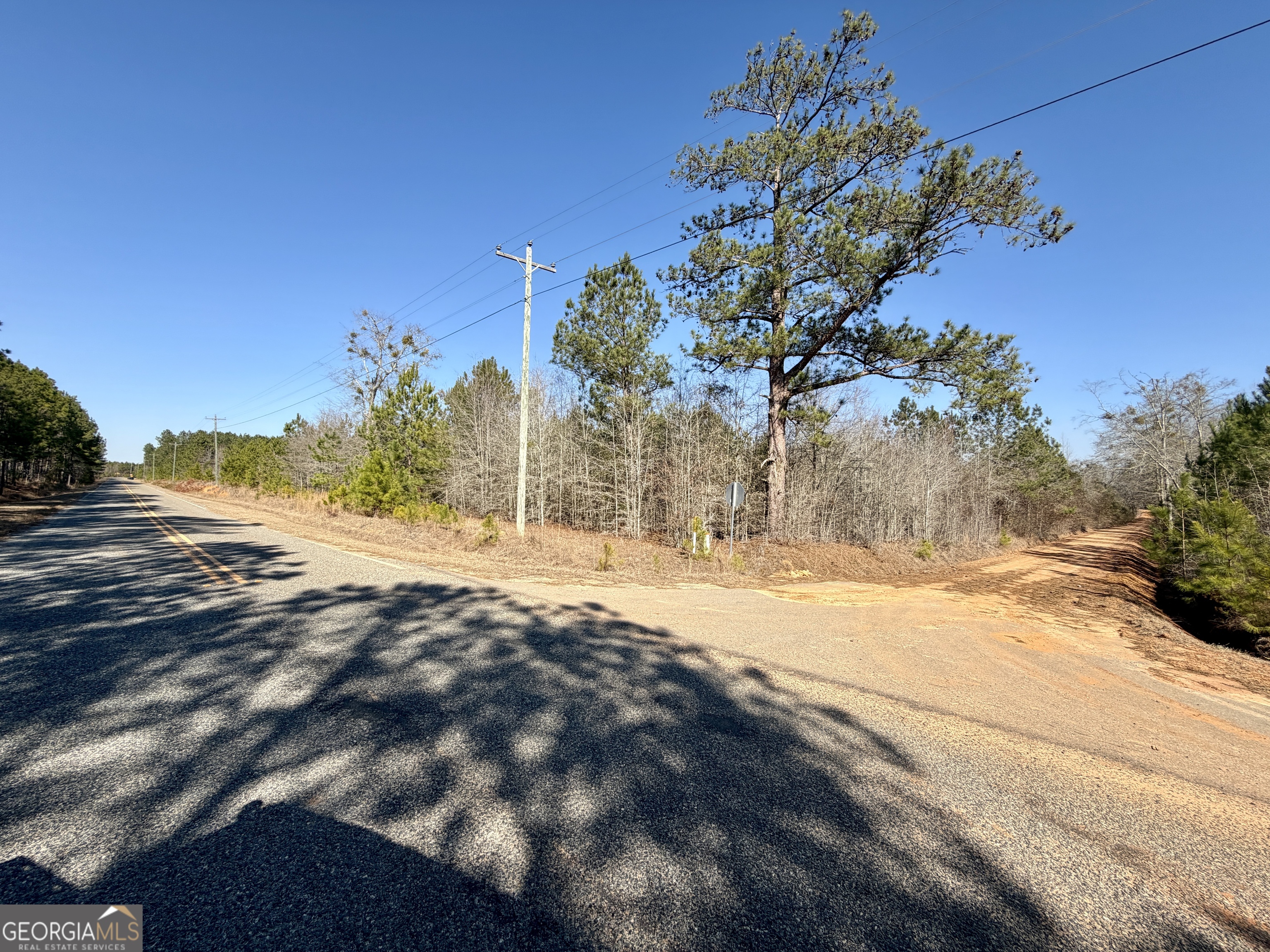 0 SOUTH Shady Grove Road Abbeville, GA 31001 - Photo 3 of 27 a view of a yard with a tree