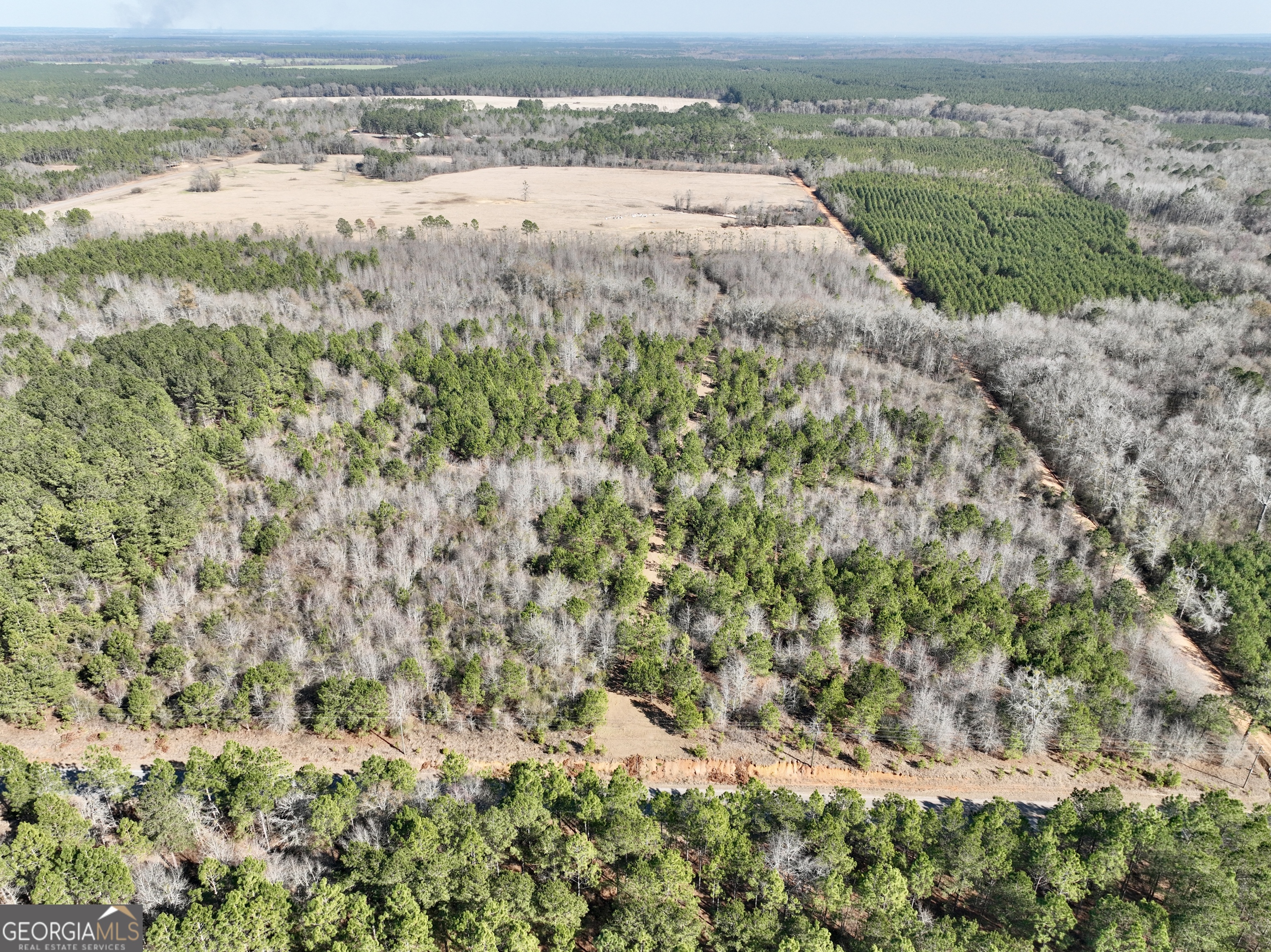 0 SOUTH Shady Grove Road Abbeville, GA 31001 - Photo 4 of 27 a view of a dry yard with wooden floor