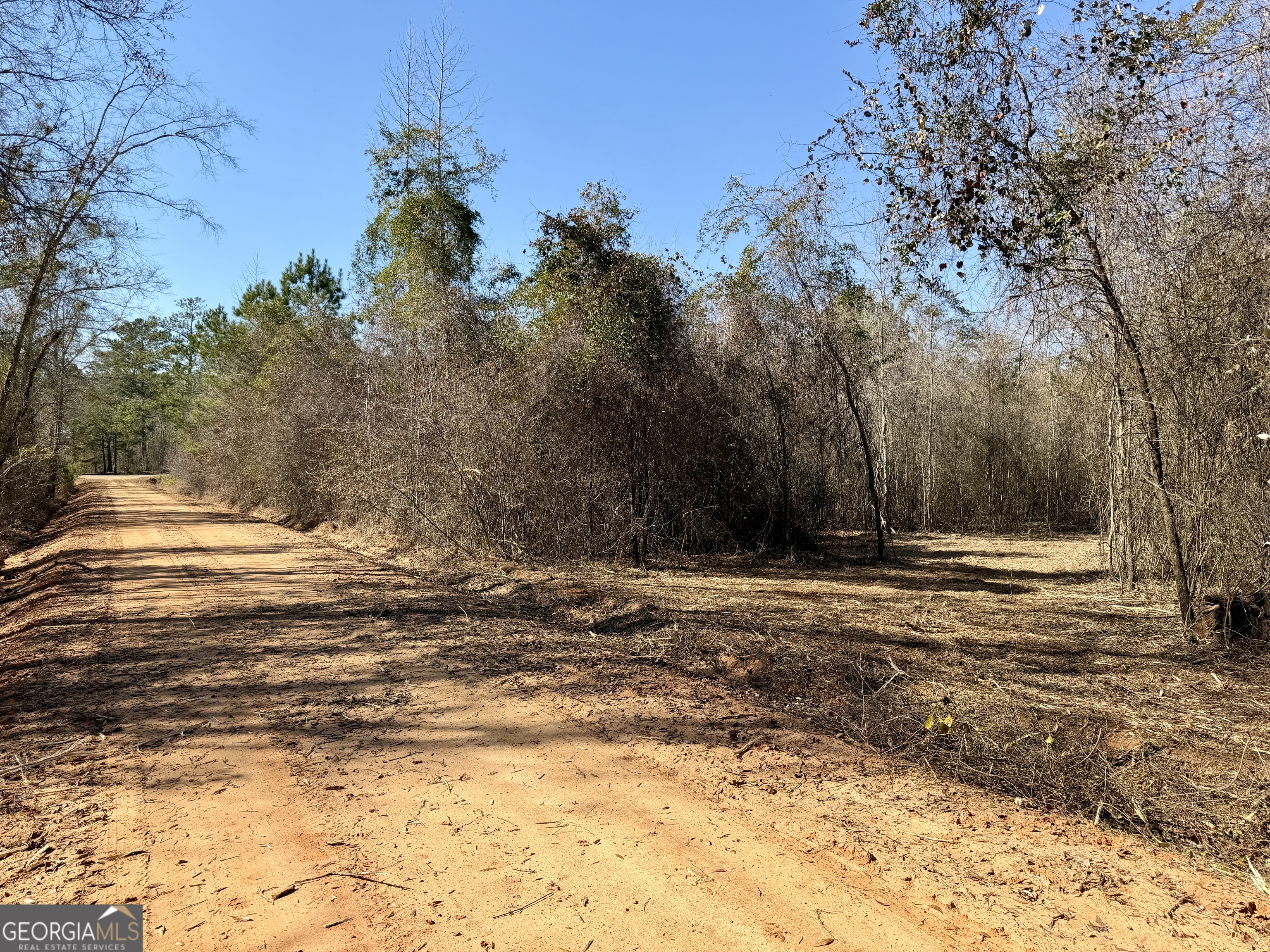 0 SOUTH Shady Grove Road Abbeville, GA 31001 - Photo 5 of 27 a view of a yard with trees