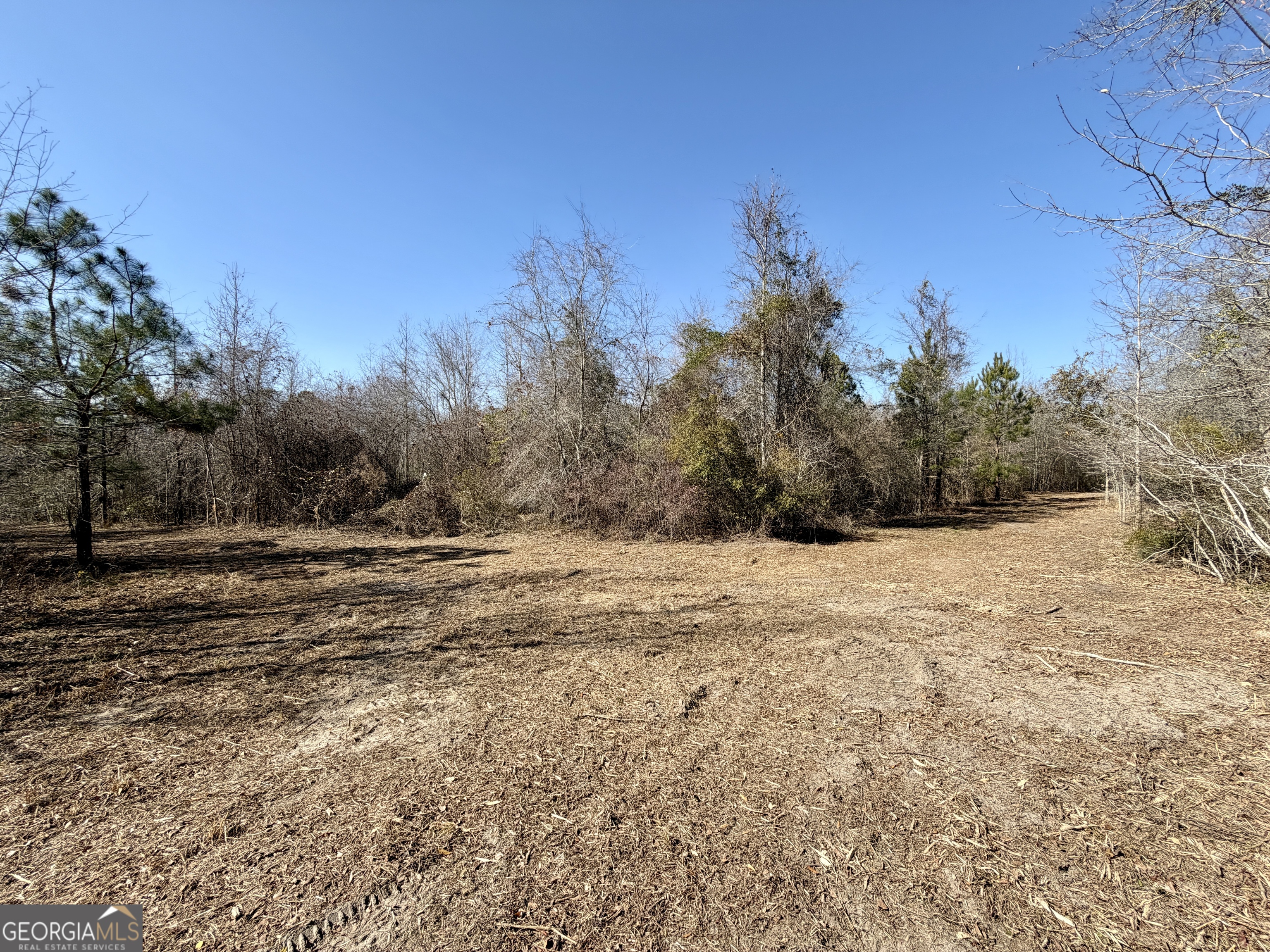 0 SOUTH Shady Grove Road Abbeville, GA 31001 - Photo 6 of 27 a view of dirt field and trees