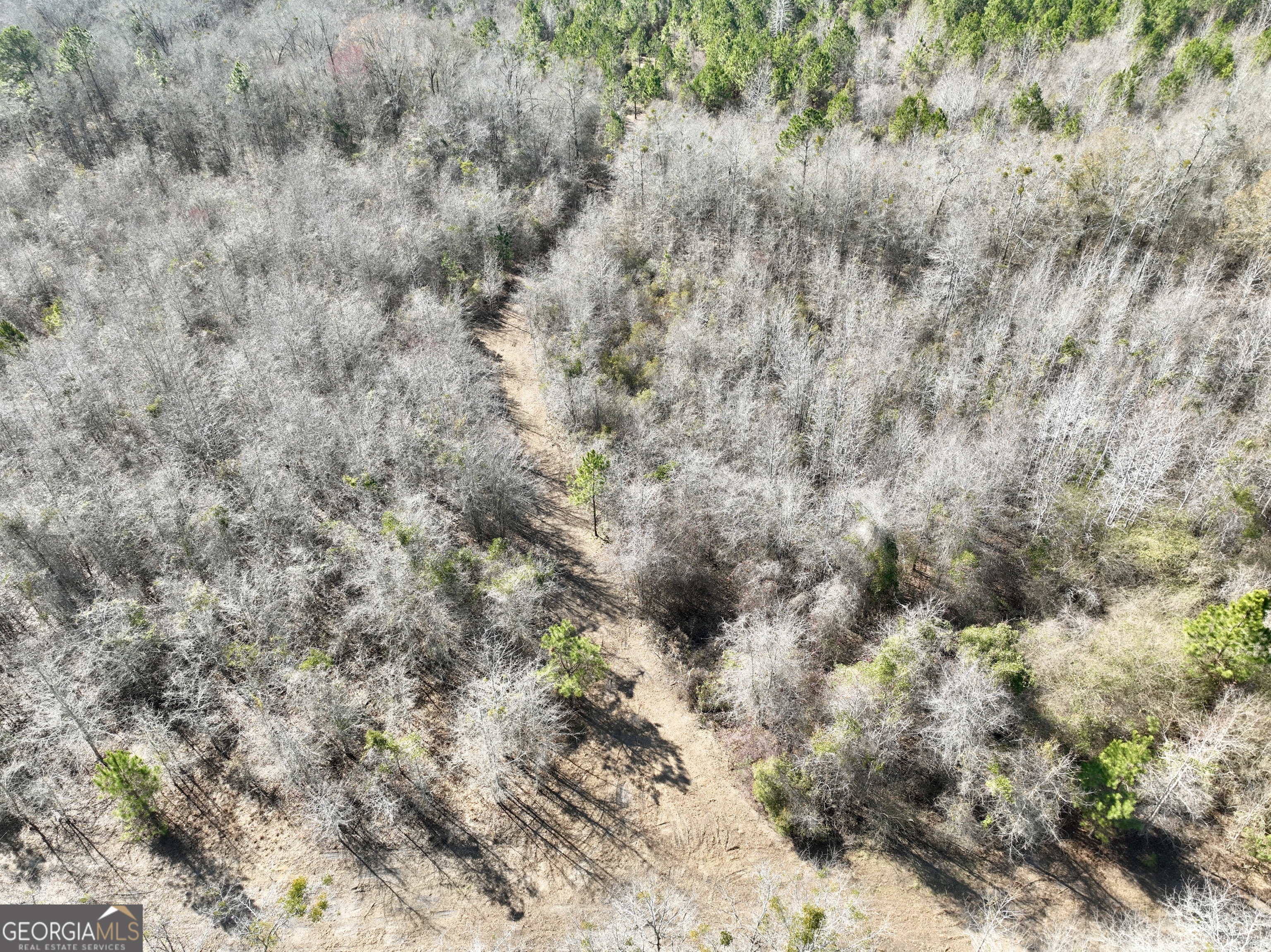 0 SOUTH Shady Grove Road Abbeville, GA 31001 - Photo 7 of 27 a view of a dry yard