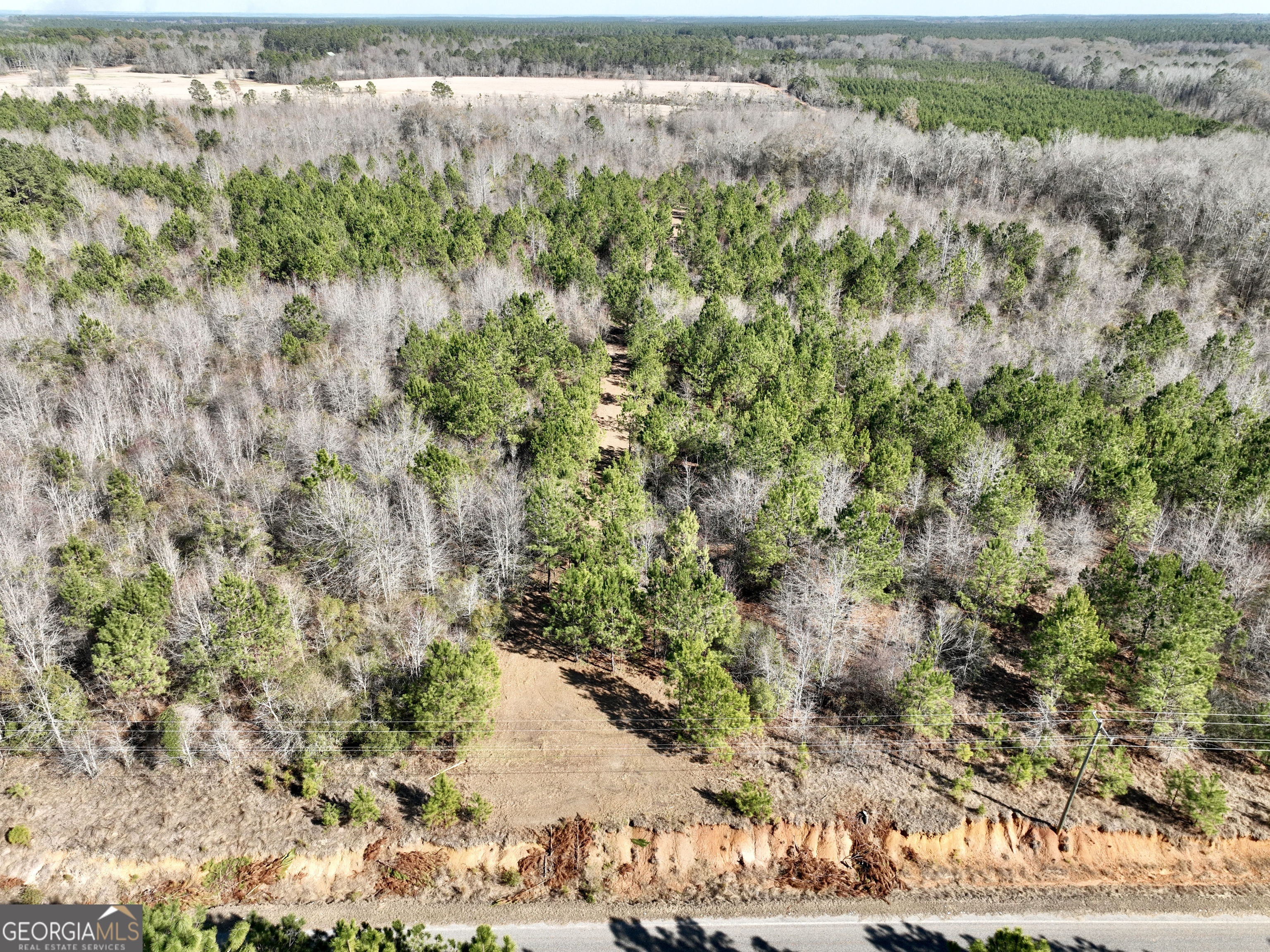 0 SOUTH Shady Grove Road Abbeville, GA 31001 - Photo 10 of 27 a view of a lake with a yard