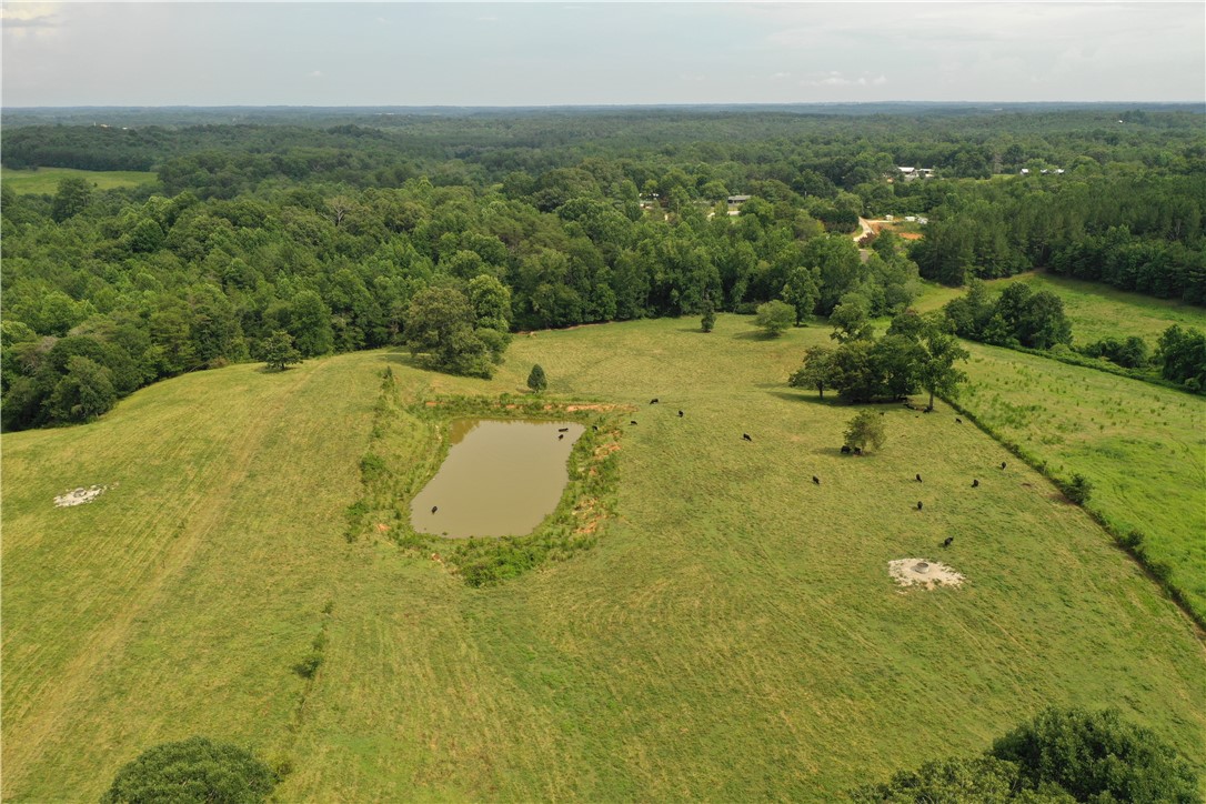 0 Coffee Road Walhalla, SC 29691 - Photo 13 of 43 Gallery Image 13