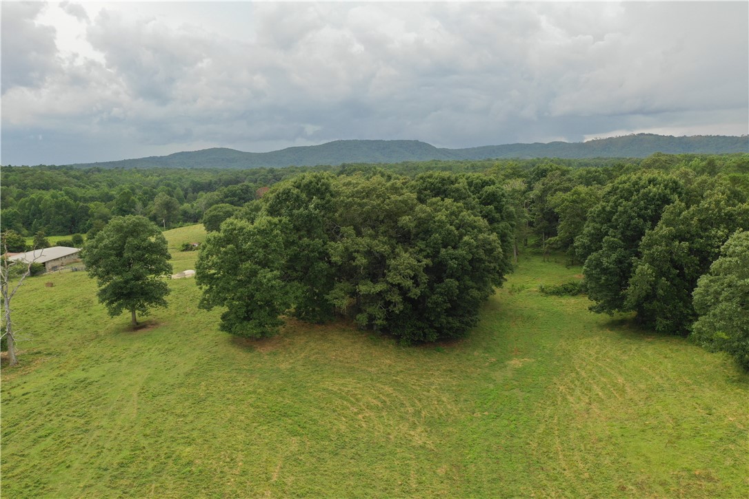 0 Coffee Road Walhalla, SC 29691 - Photo 24 of 43 Gallery Image 24