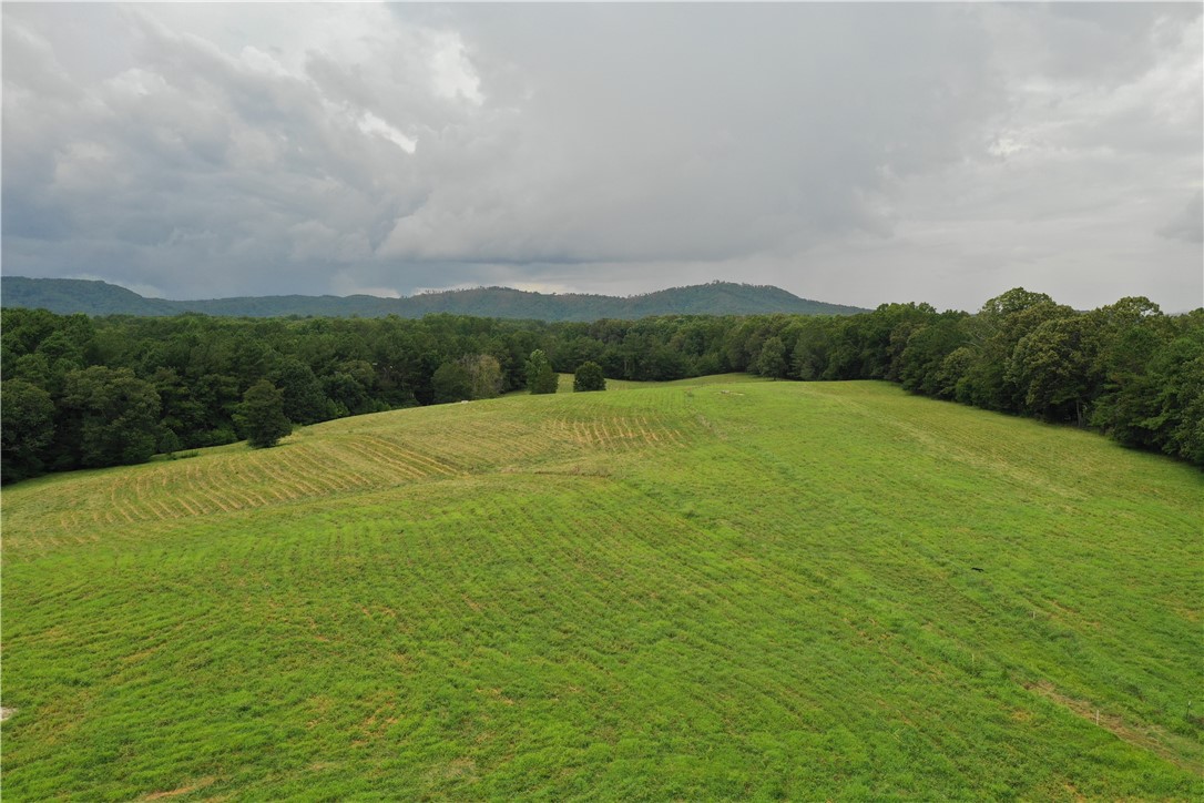 0 Coffee Road Walhalla, SC 29691 - Photo 33 of 43 Gallery Image 33