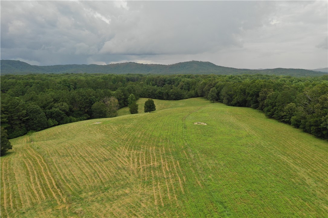 0 Coffee Road Walhalla, SC 29691 - Photo 34 of 43 Gallery Image 34