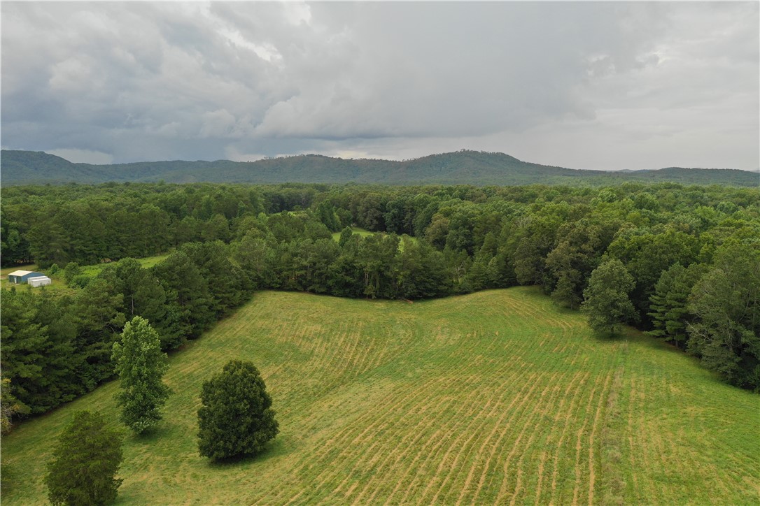 0 Coffee Road Walhalla, SC 29691 - Photo 36 of 43 Gallery Image 36