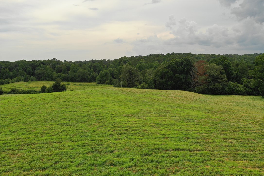 0 Coffee Road Walhalla, SC 29691 - Photo 41 of 43 Gallery Image 41