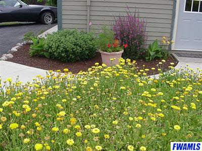 24104 Knouse Road Harlan, IN 46743 - Photo 11 of 12 Gallery Image 11