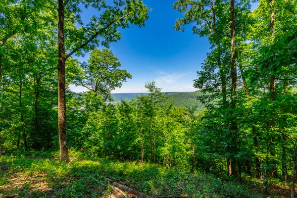 $275,000 | 0 Volunteer Street, Unit 362, Jasper, TN 37347