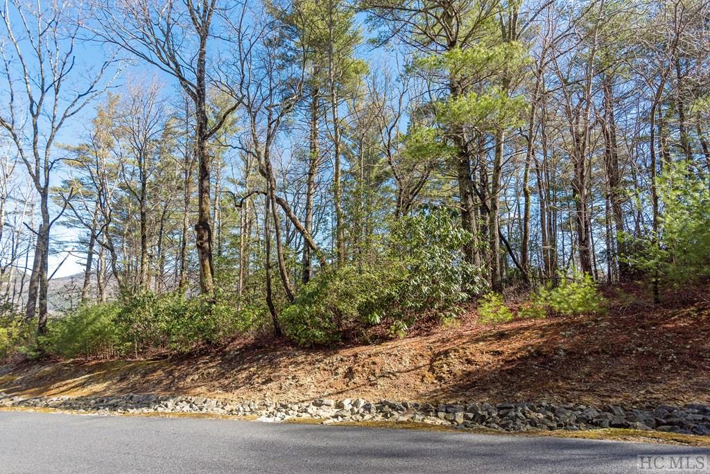 Lot 54 Ledgeview Road Cashiers, NC 28717 - Photo 7 of 16 Gallery Image 7