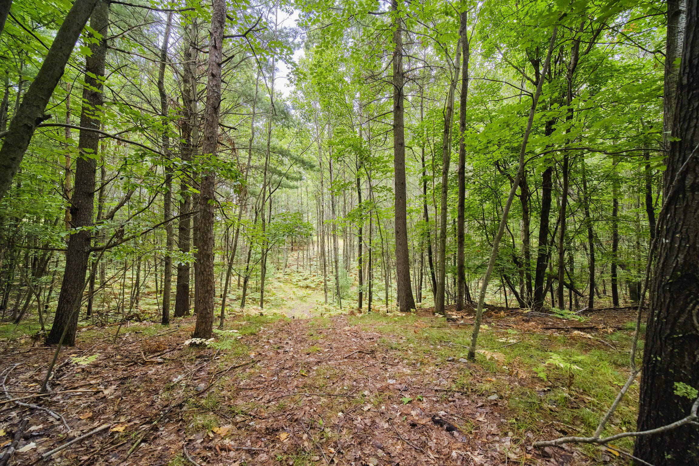 8089 Hunter Ridge Trail Copemish, MI 49625 - Photo 48 of 61 8089 Hunter's Ridge