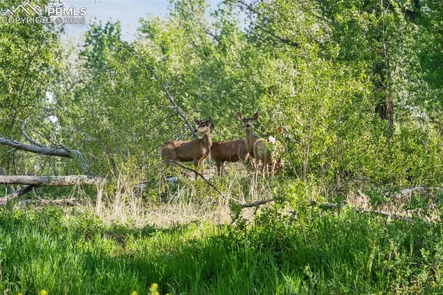 $2,100,000 | 16990 Old Pueblo Road, Fountain, CO 80817