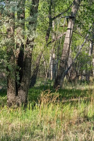 $2,100,000 | 16990 Old Pueblo Road, Fountain, CO 80817