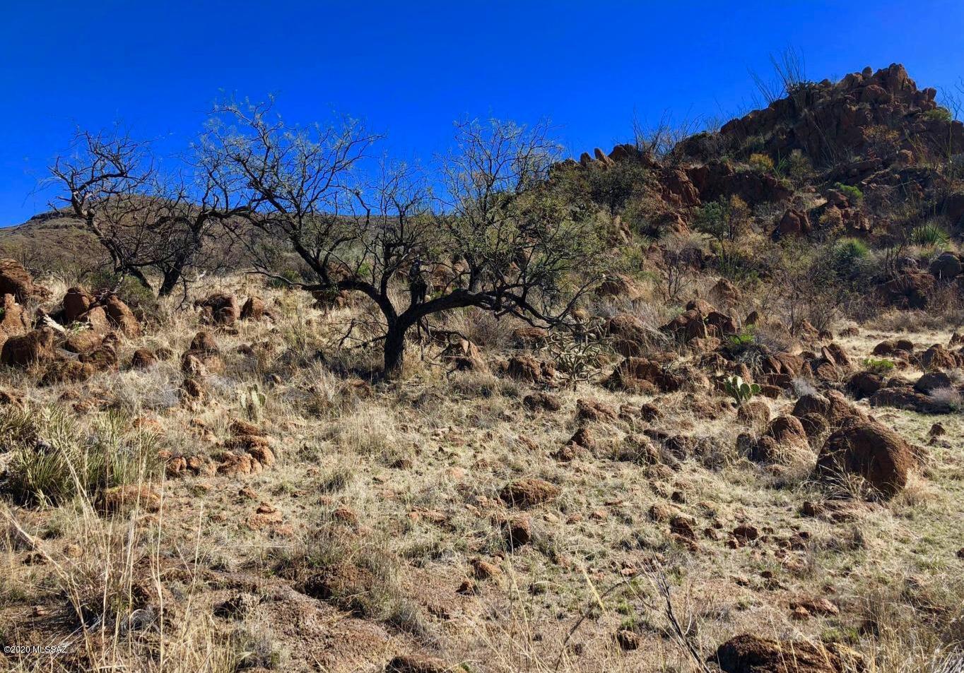 665 Grosvenor Road, Unit 115 Rio Rico, AZ 85648 - Photo 9 of 13