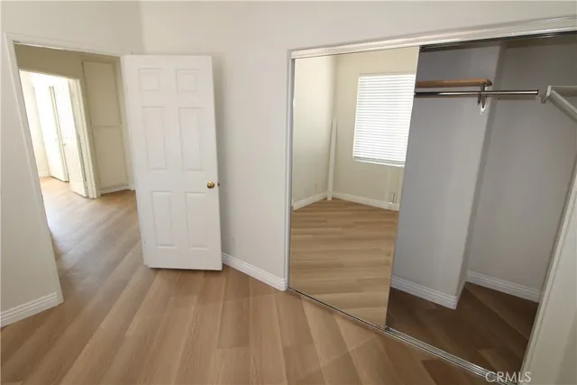 a view of a swimming pool with potted plants and palm trees