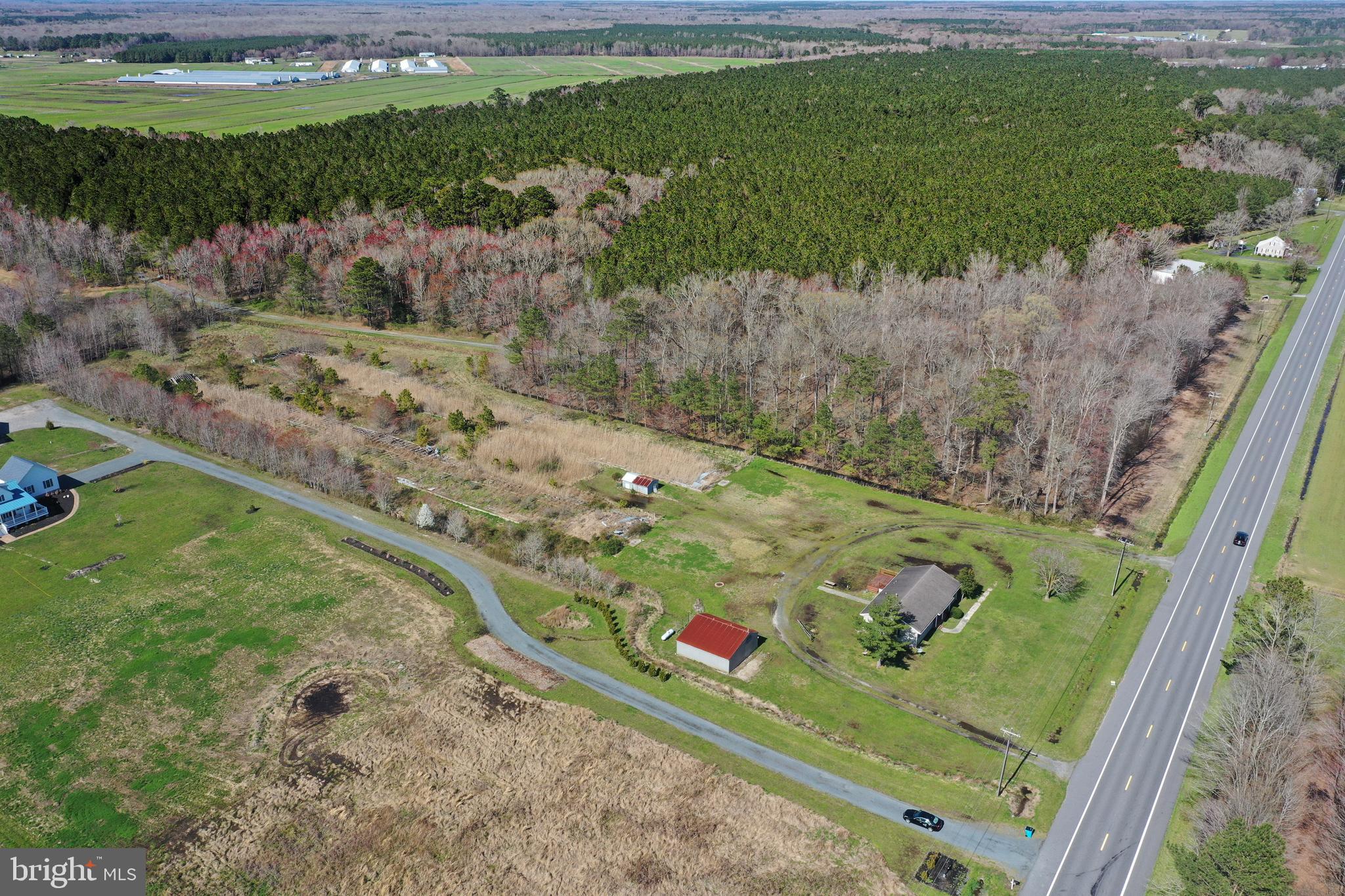 7547 Libertytown Road Berlin, MD 21811 - Photo 3 of 19 view from west to east