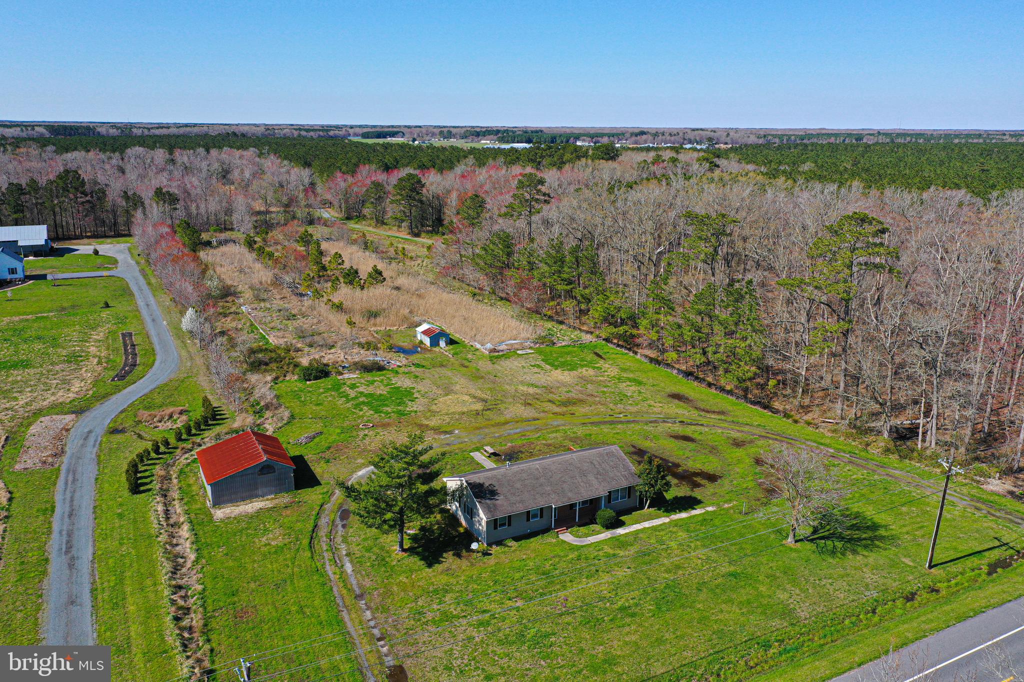 7547 Libertytown Road Berlin, MD 21811 - Photo 4 of 19 Road on left is to neighbors horse farm