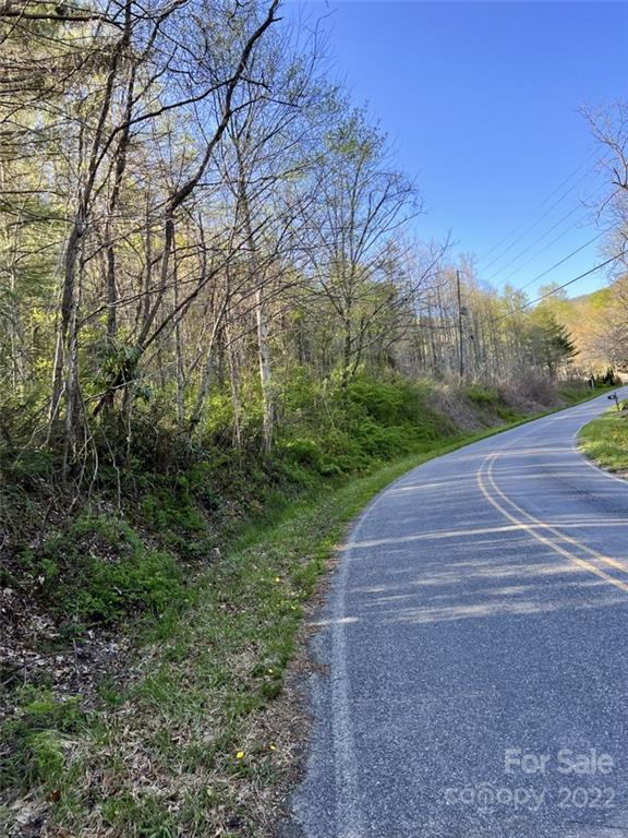 9999 Trantham Creek Road Fairview, NC 28730 - Photo 1 of 4 Gallery Image 1
