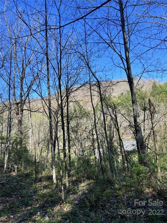 9999 Trantham Creek Road Fairview, NC 28730 - Photo 2 of 4 Gallery Image 2