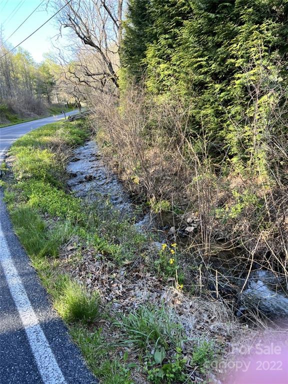 9999 Trantham Creek Road Fairview, NC 28730 - Photo 3 of 4 Gallery Image 3