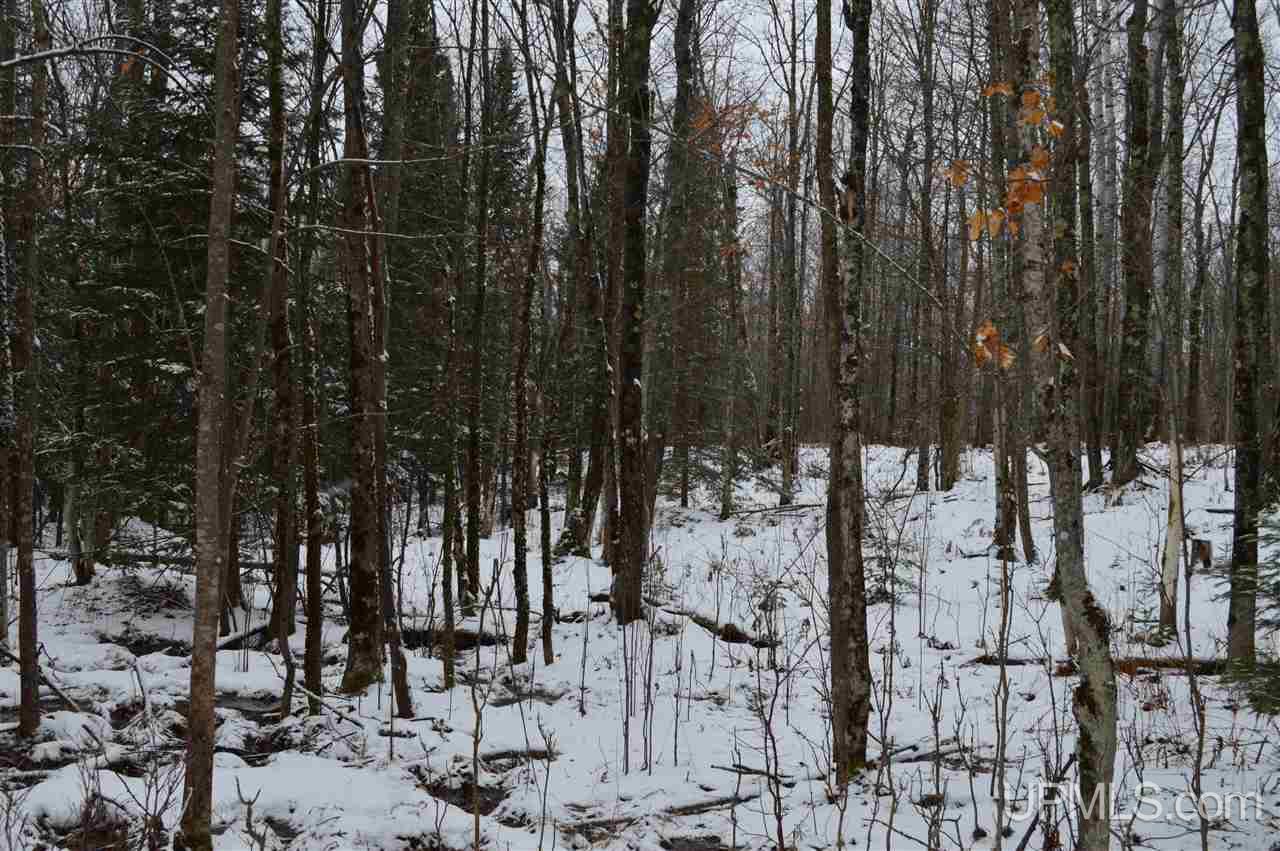 Tbd Herman Road Lanse, MI 49946 - Photo 45 of 50 Gallery Image 45