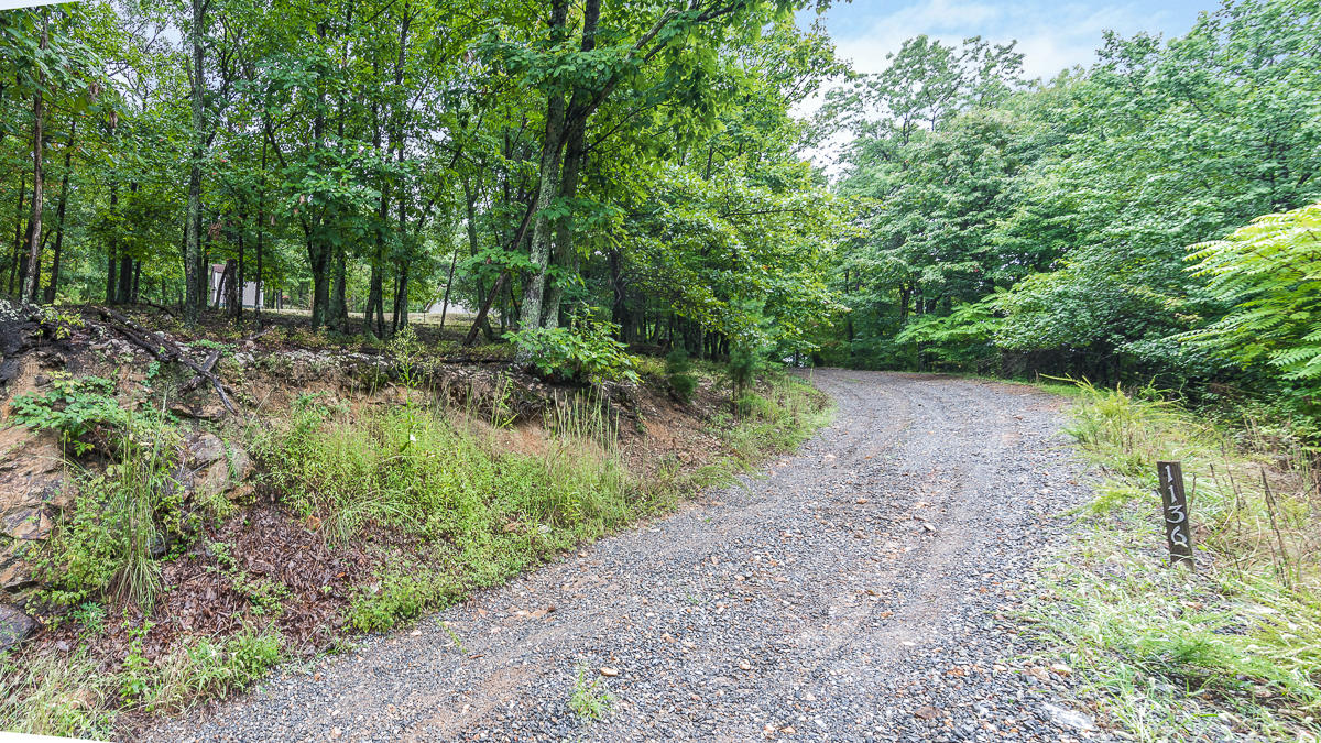 1136 Quarry Road Blue Ridge, VA 24064 - Photo 28 of 29 a view of a forest with trees in the background