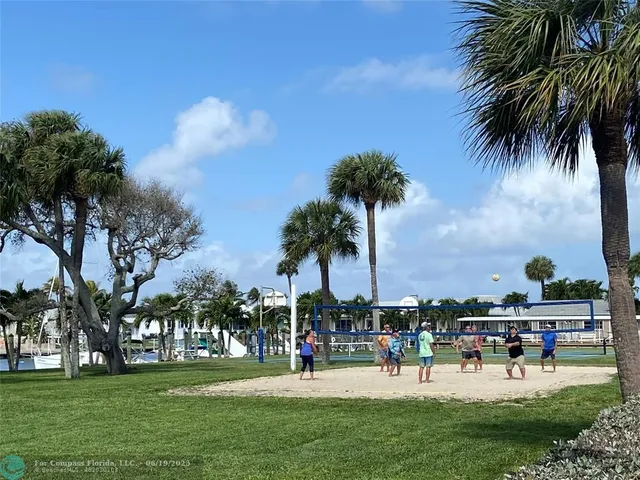 a view of a park with palm trees