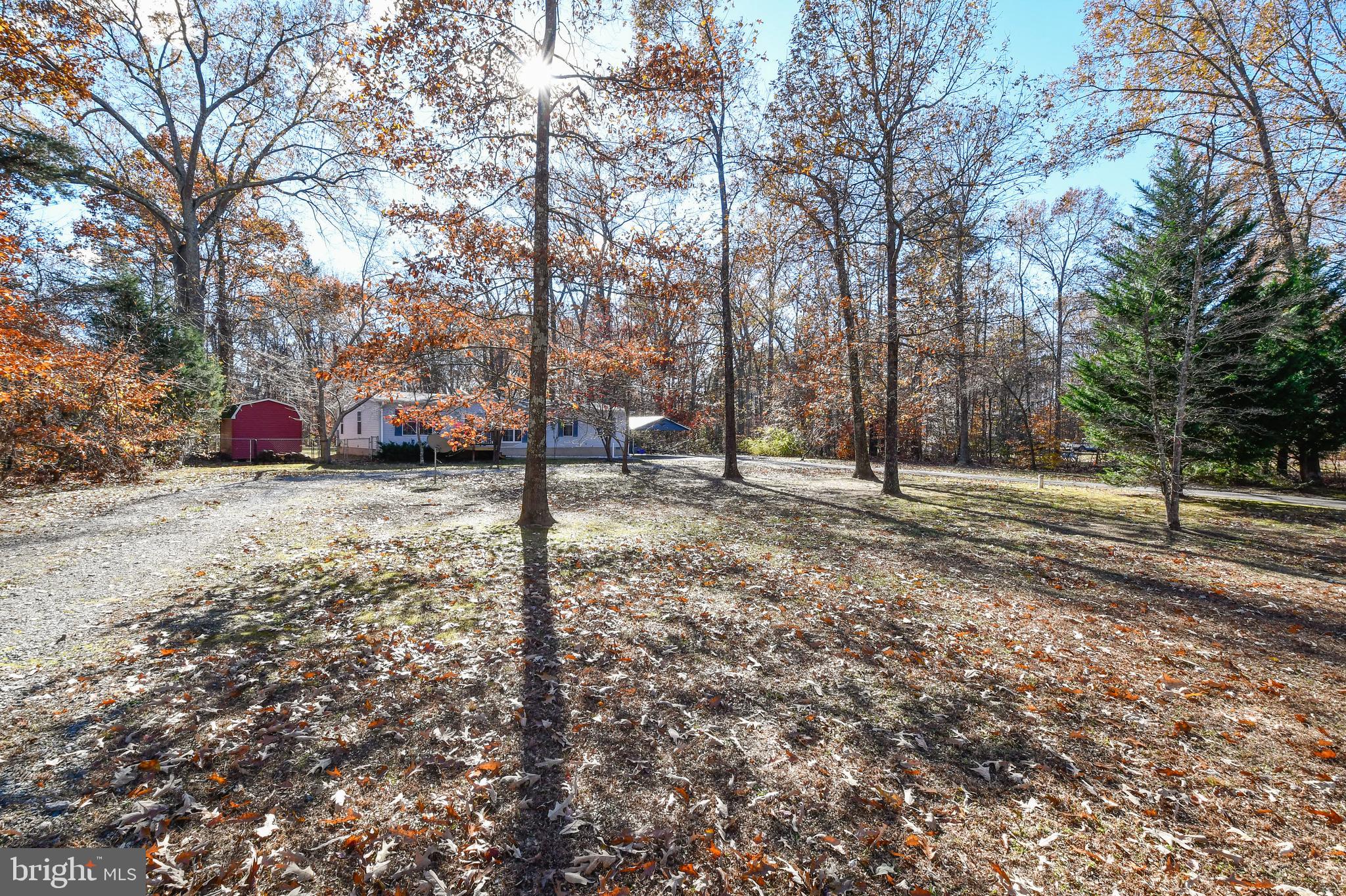 12524 State Road King George, VA 22485 - Photo 4 of 40