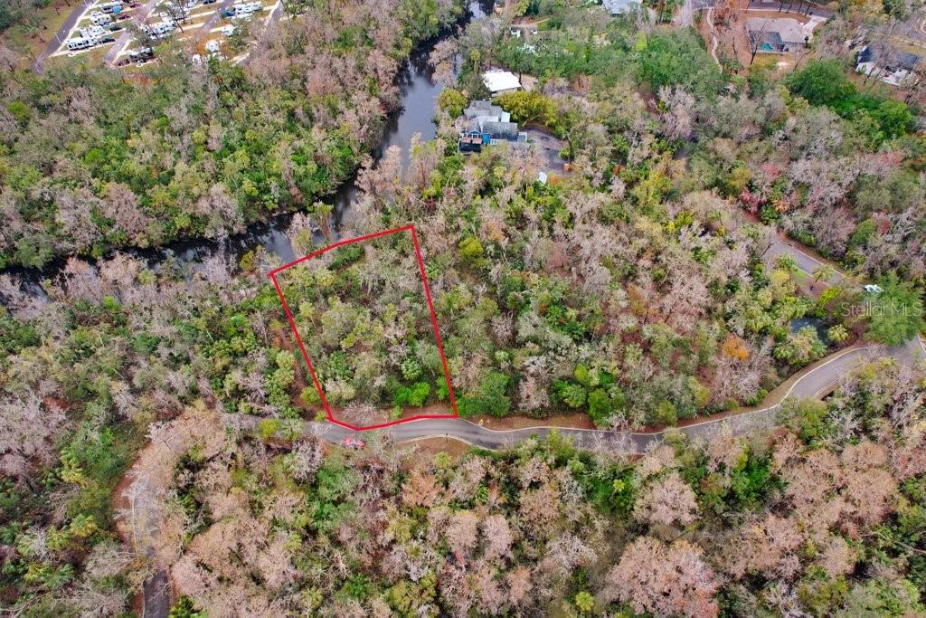 4872 Rambling River Road Brandon, FL 33511 - Photo 16 of 29 a picture of trees