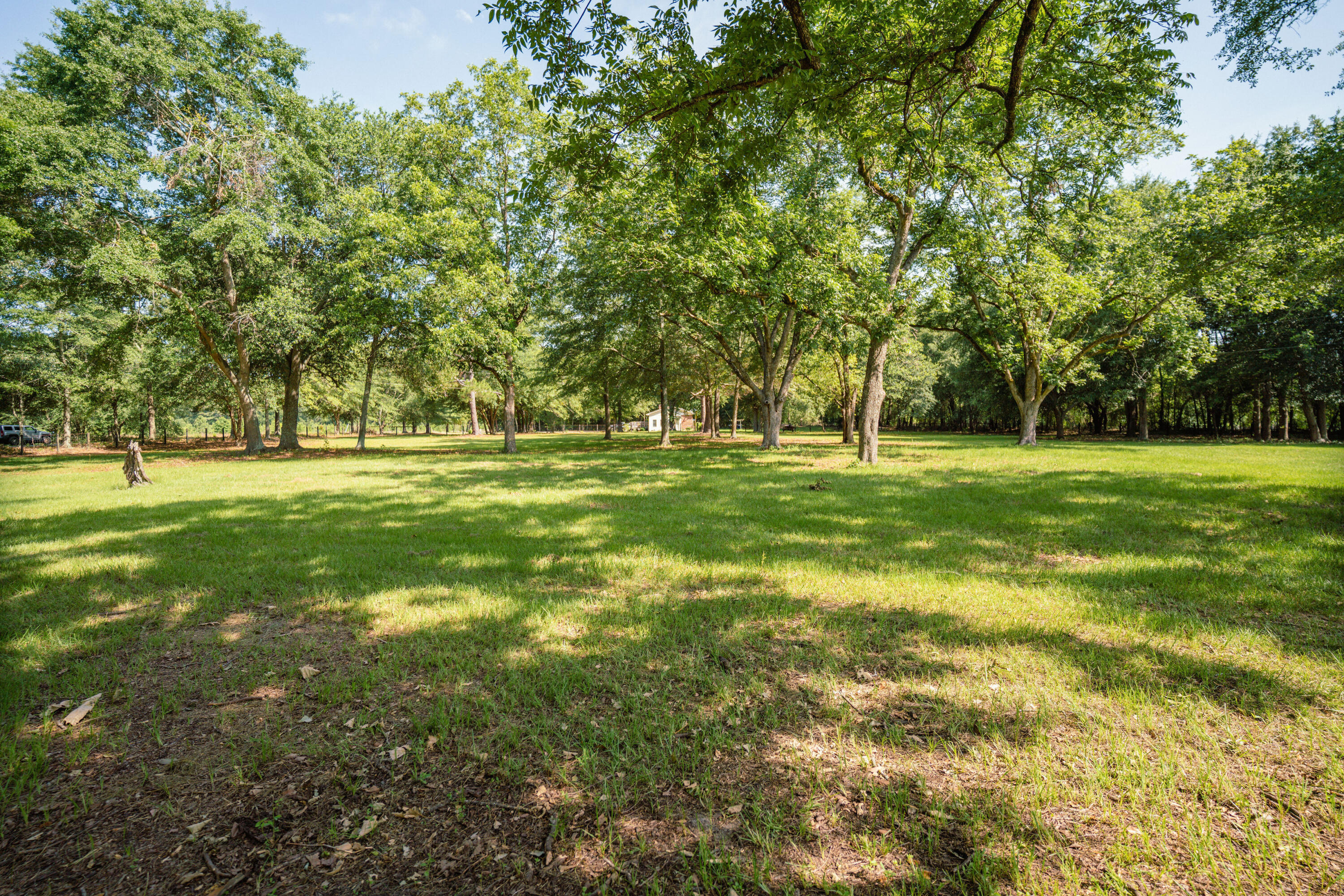 418 South Dixie Road Wagener, SC 29164 - Photo 1 of 12